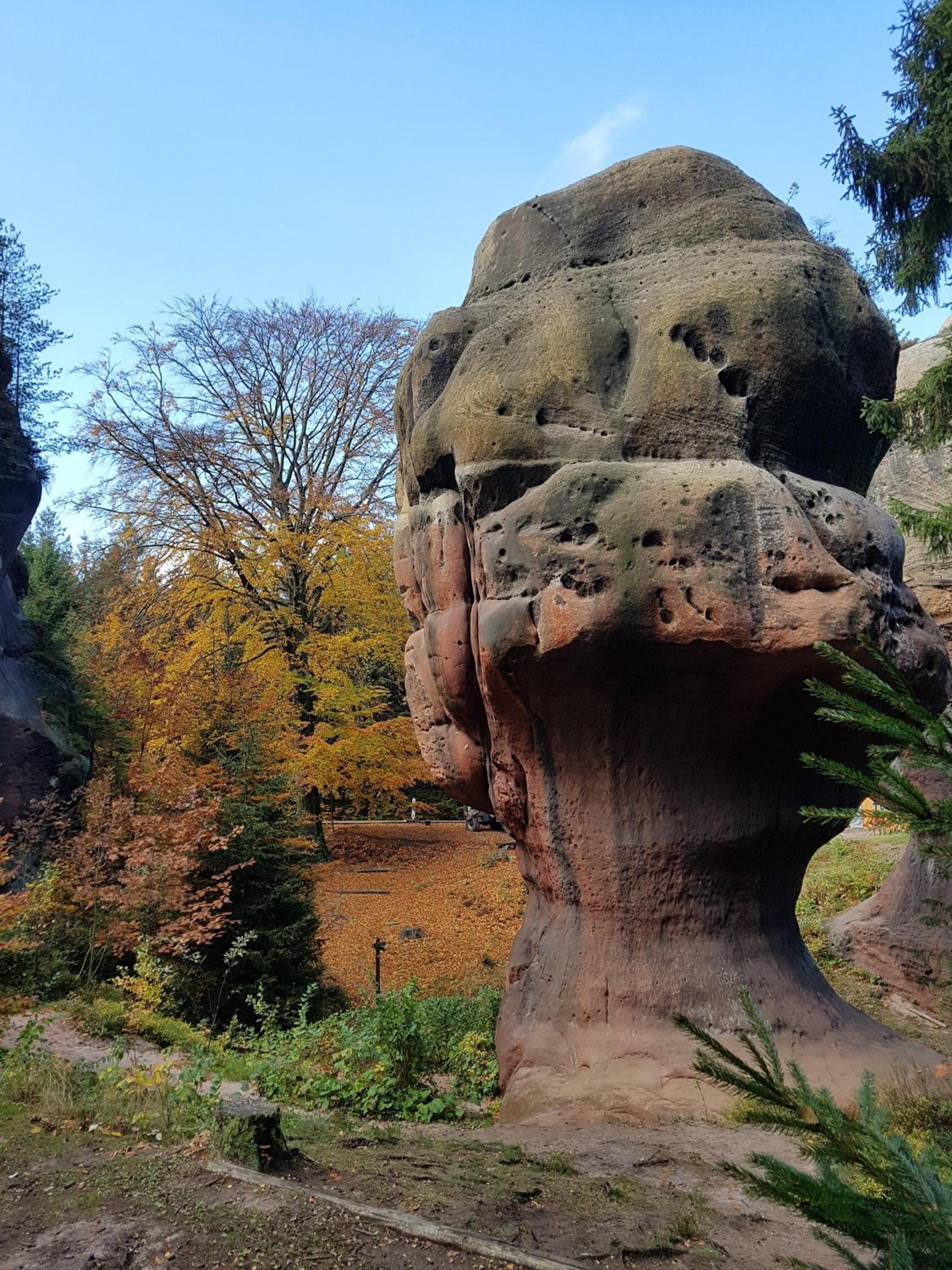 Auf-der-Muehlwiese