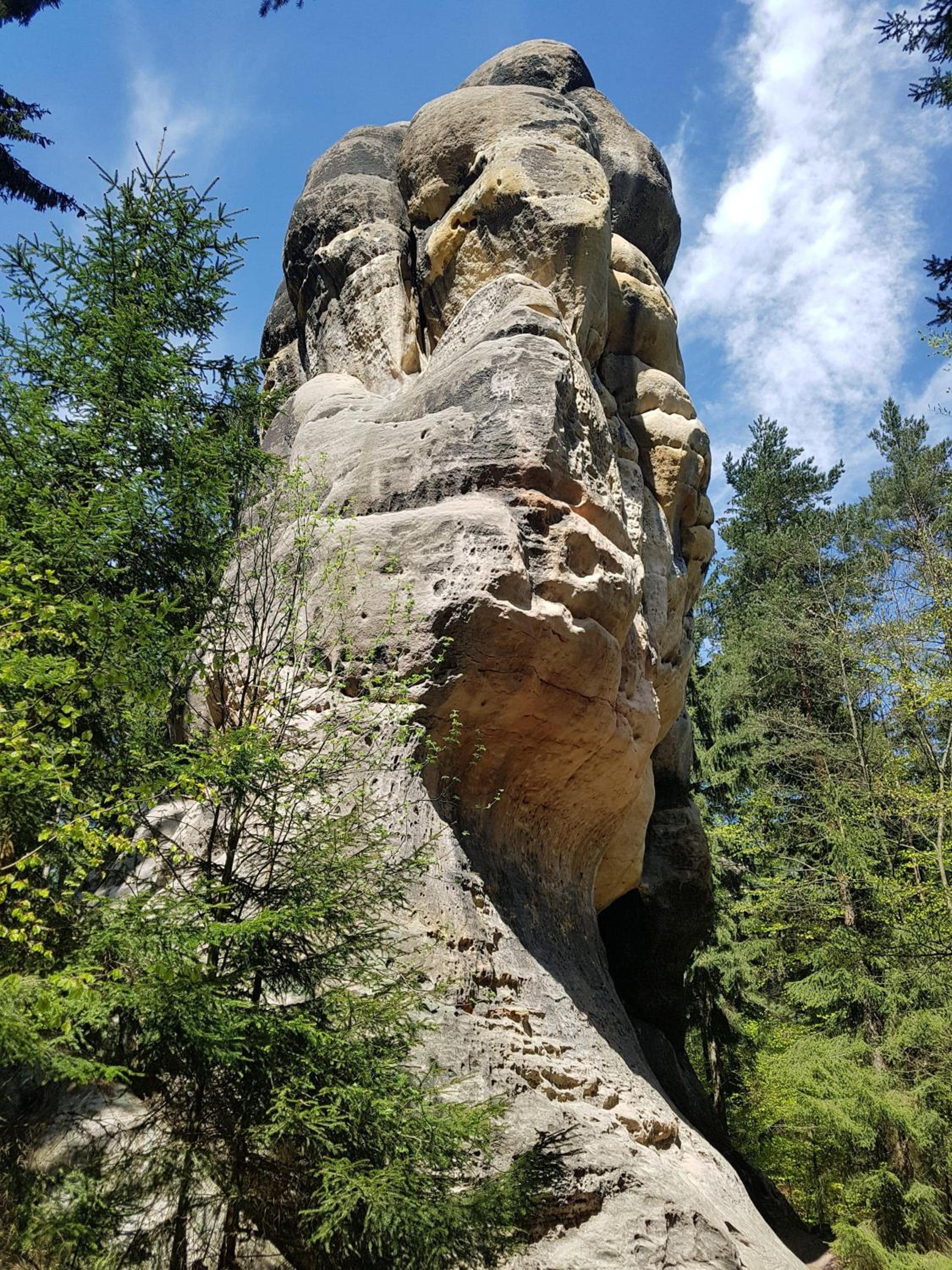 Auf-der-Muehlwiese