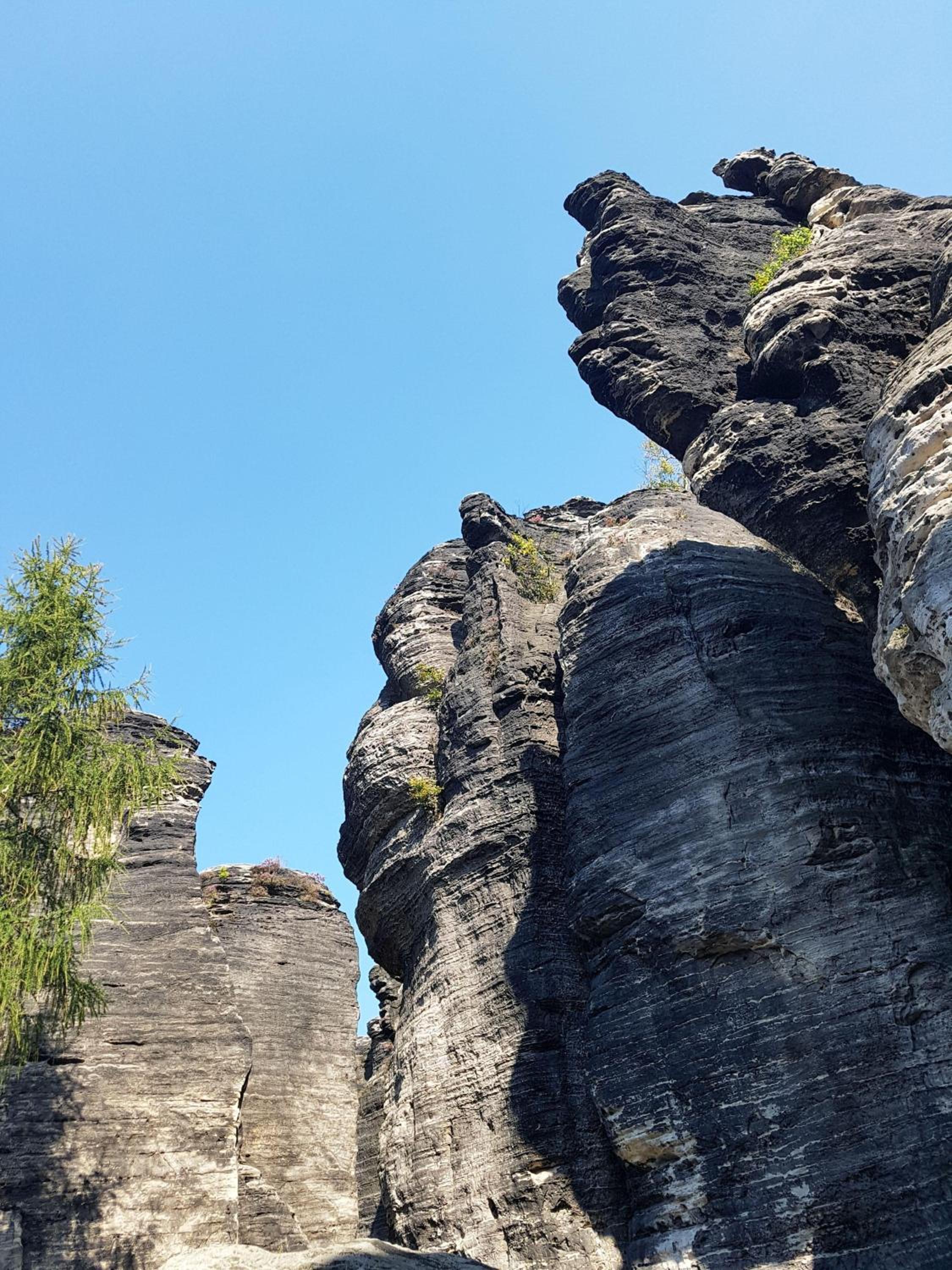 Auf-der-Muehlwiese
