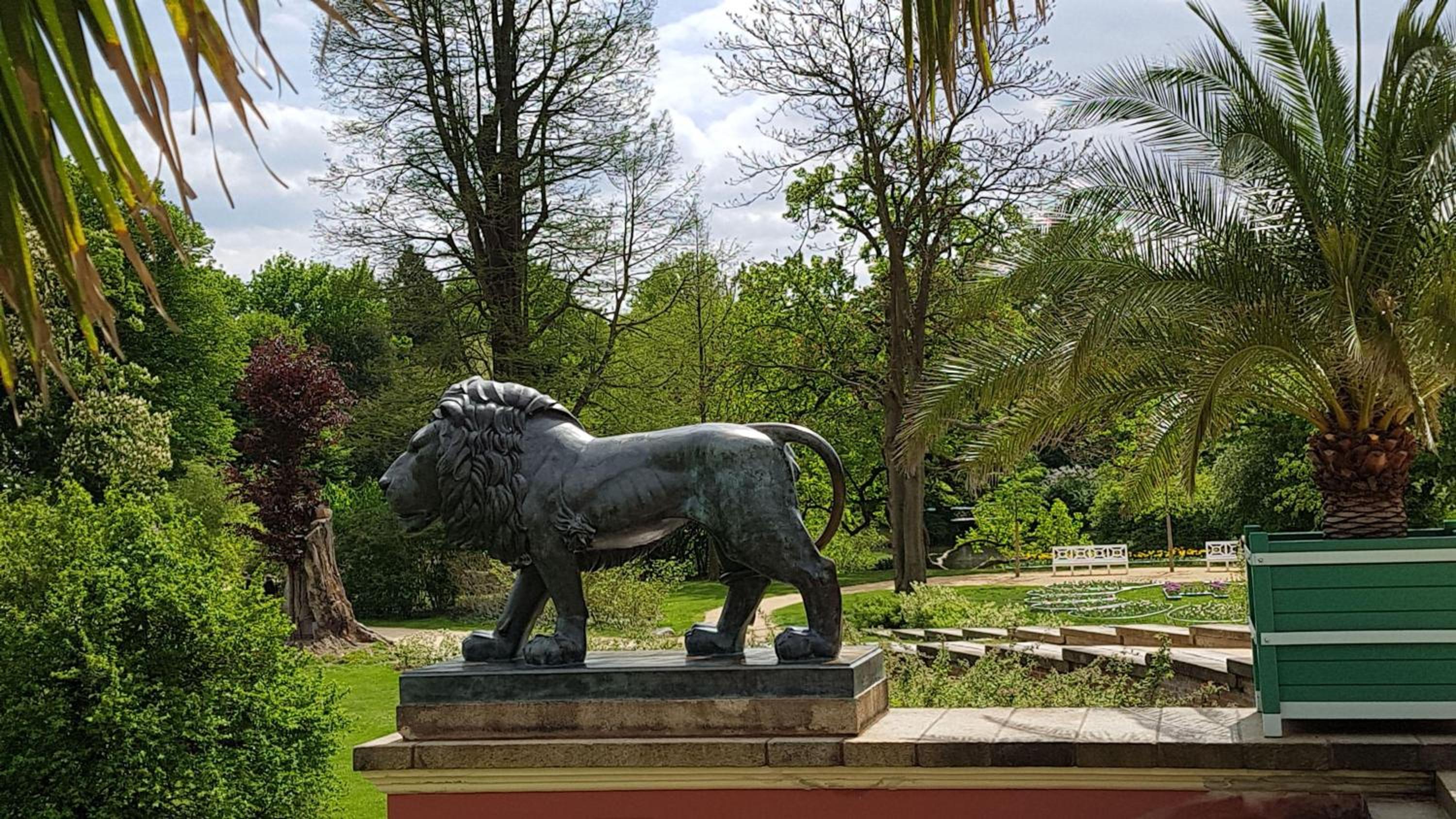 Auf-der-Muehlwiese