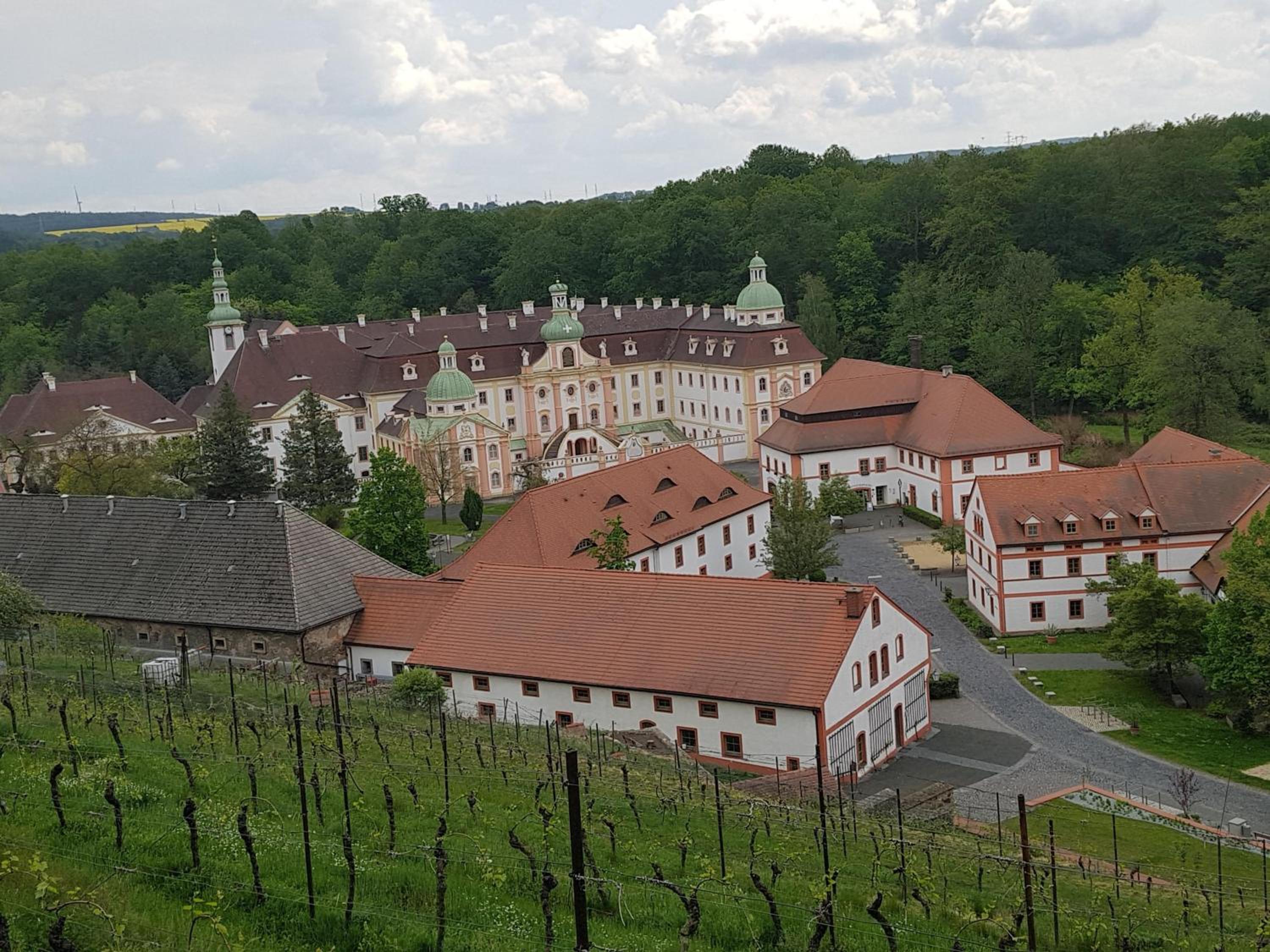 Auf-der-Muehlwiese