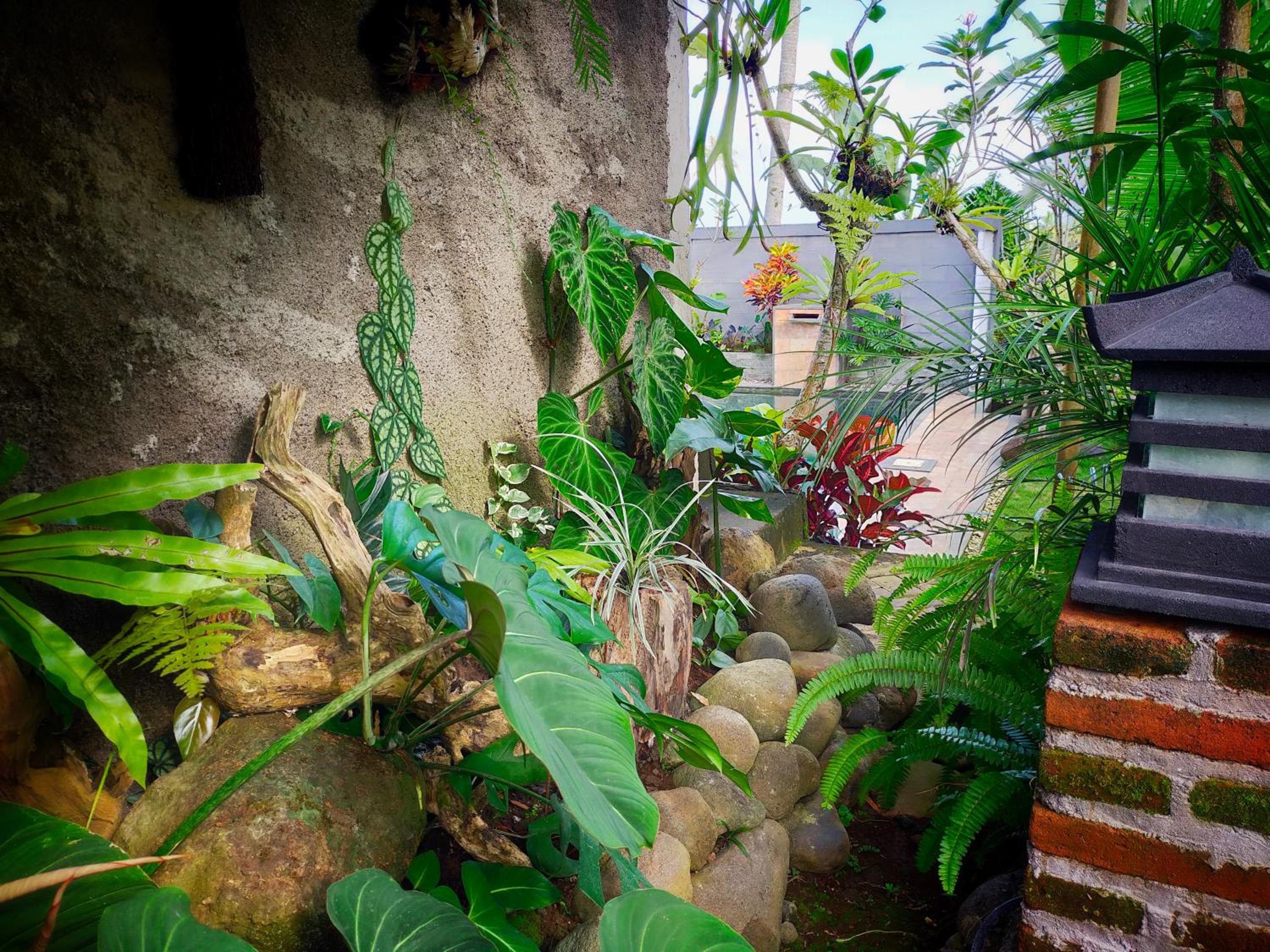 AUREIRIN Guesthouse