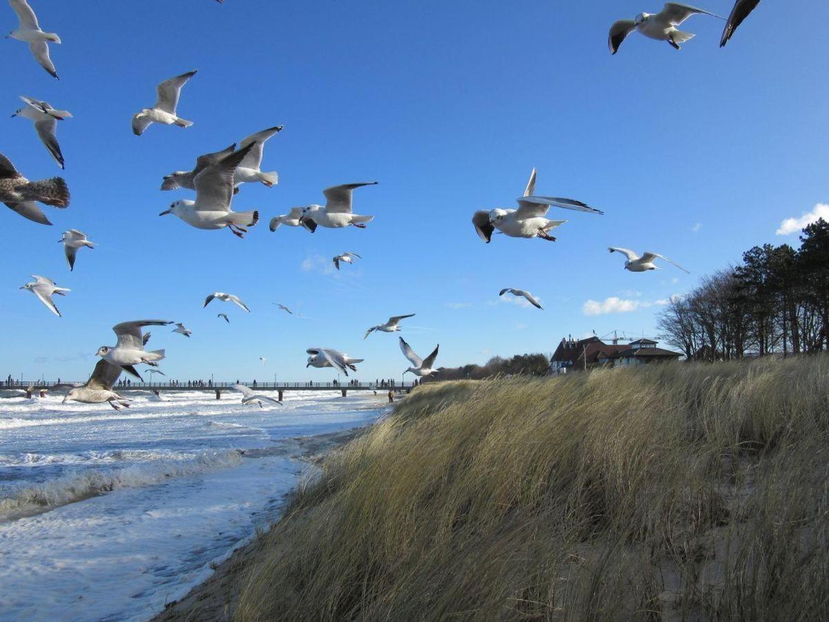 Ostseebrise-im-Ferienhaus-Flair-am-Meer
