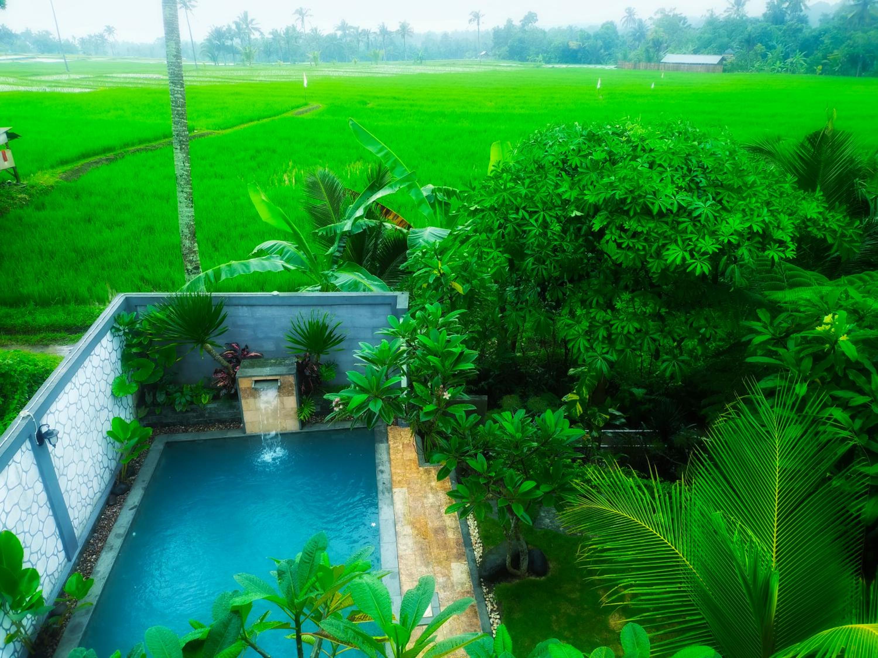 AUREIRIN Guesthouse