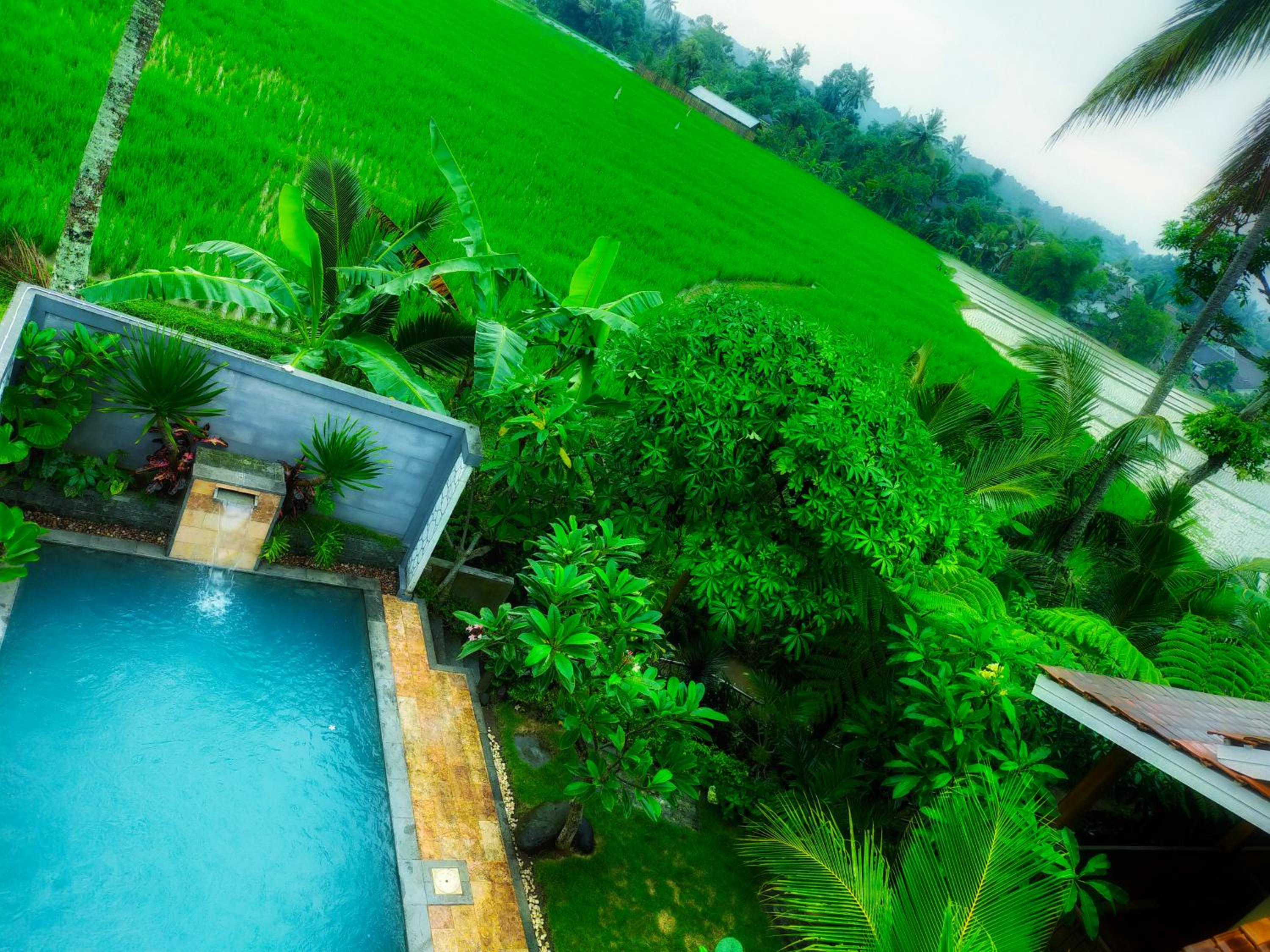 AUREIRIN Guesthouse