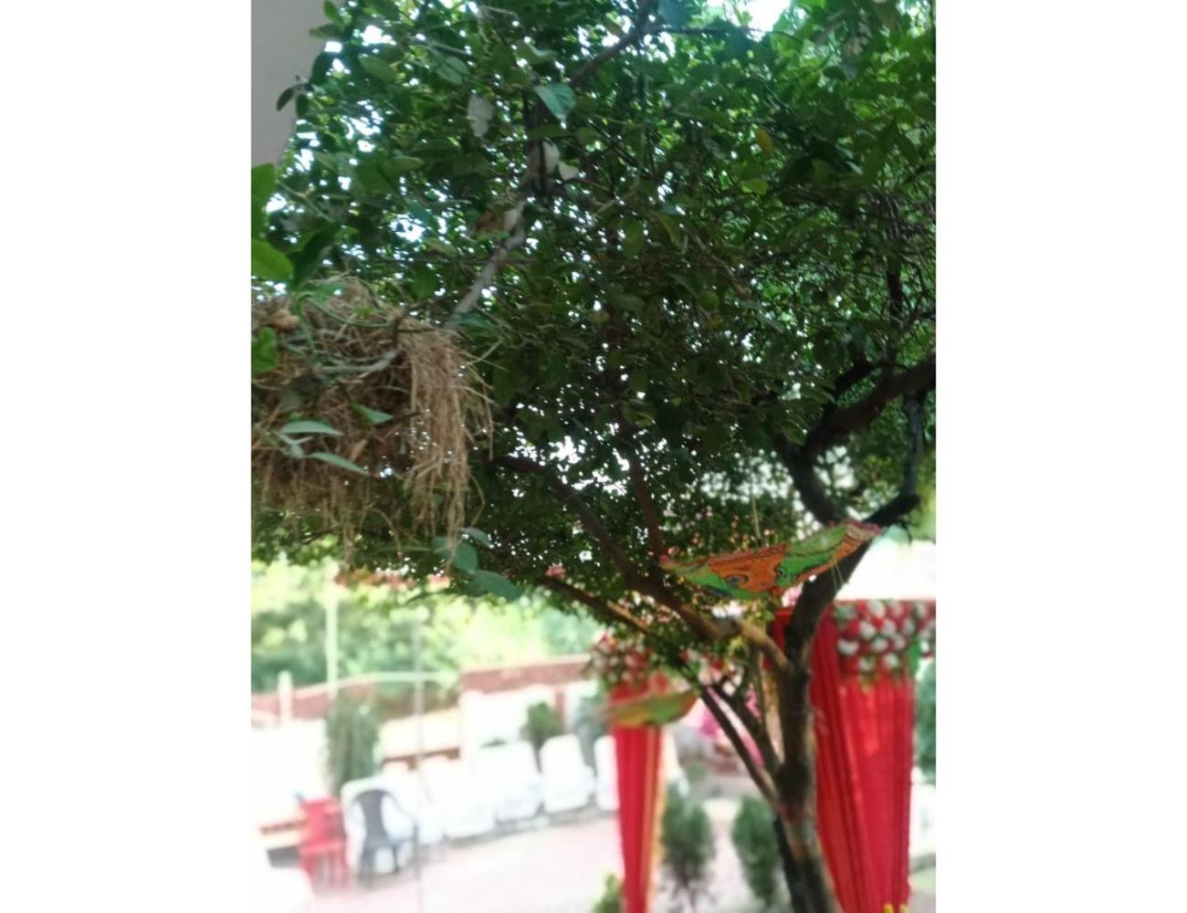Photo 9