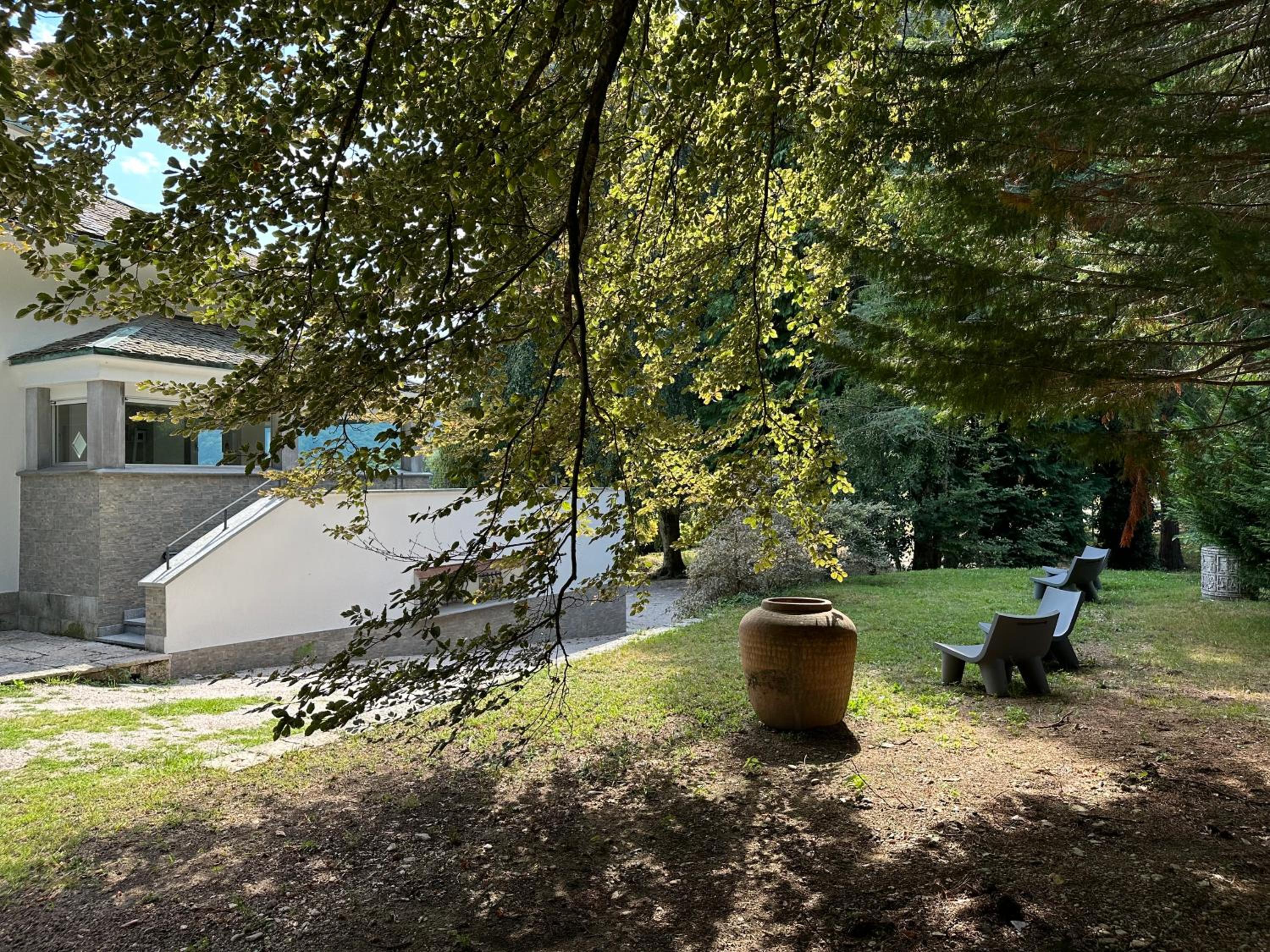 Photo 41