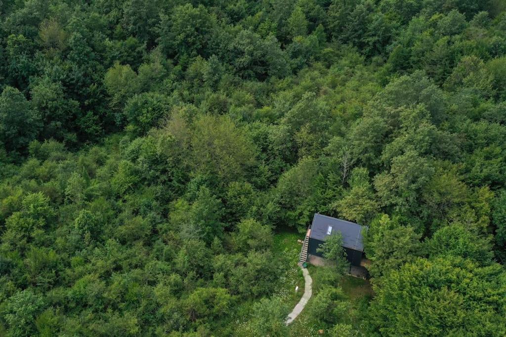 Tree Elements treehouse retreat