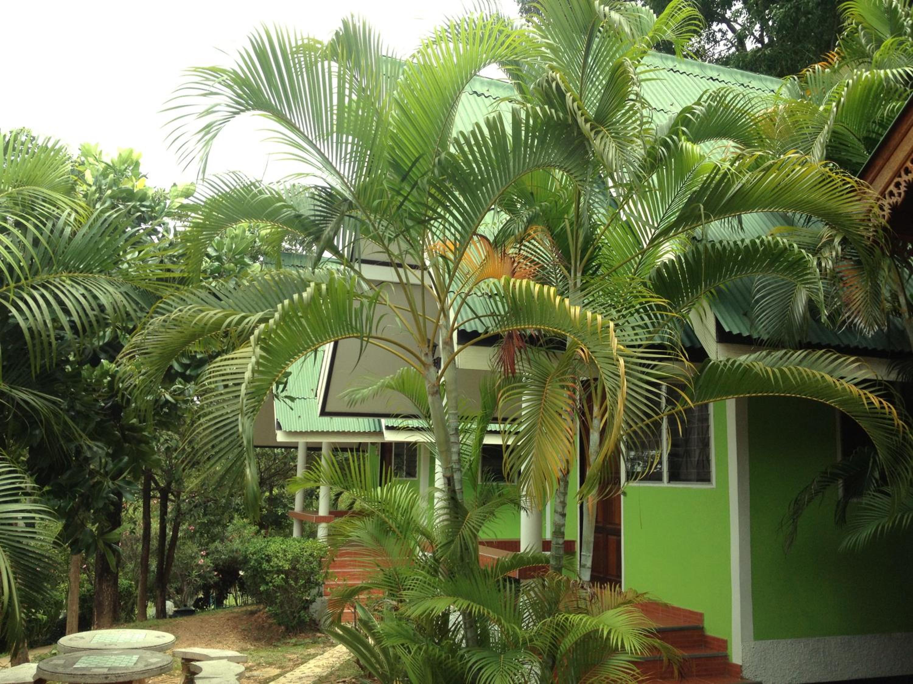 ฺBaan Ing Khao Resort