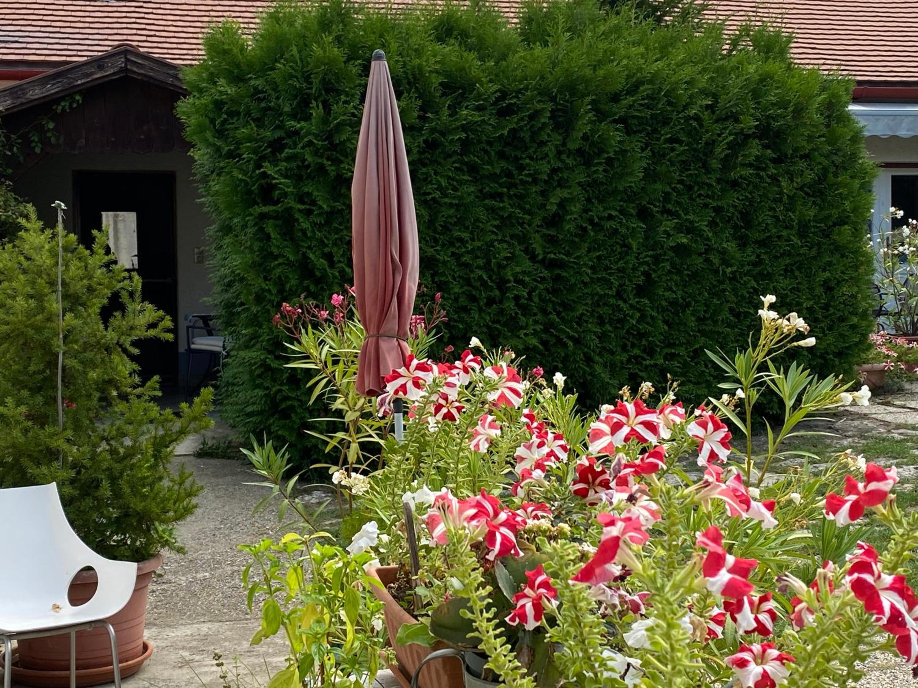 Photo 29