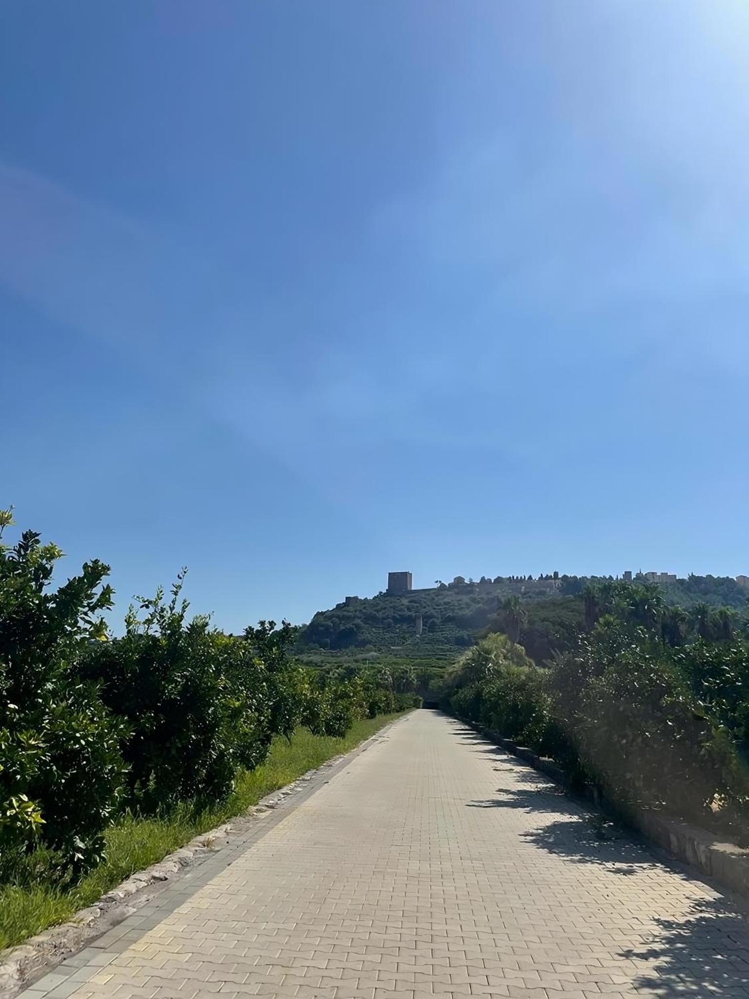 Agriturismo Gianferrante, photo 14