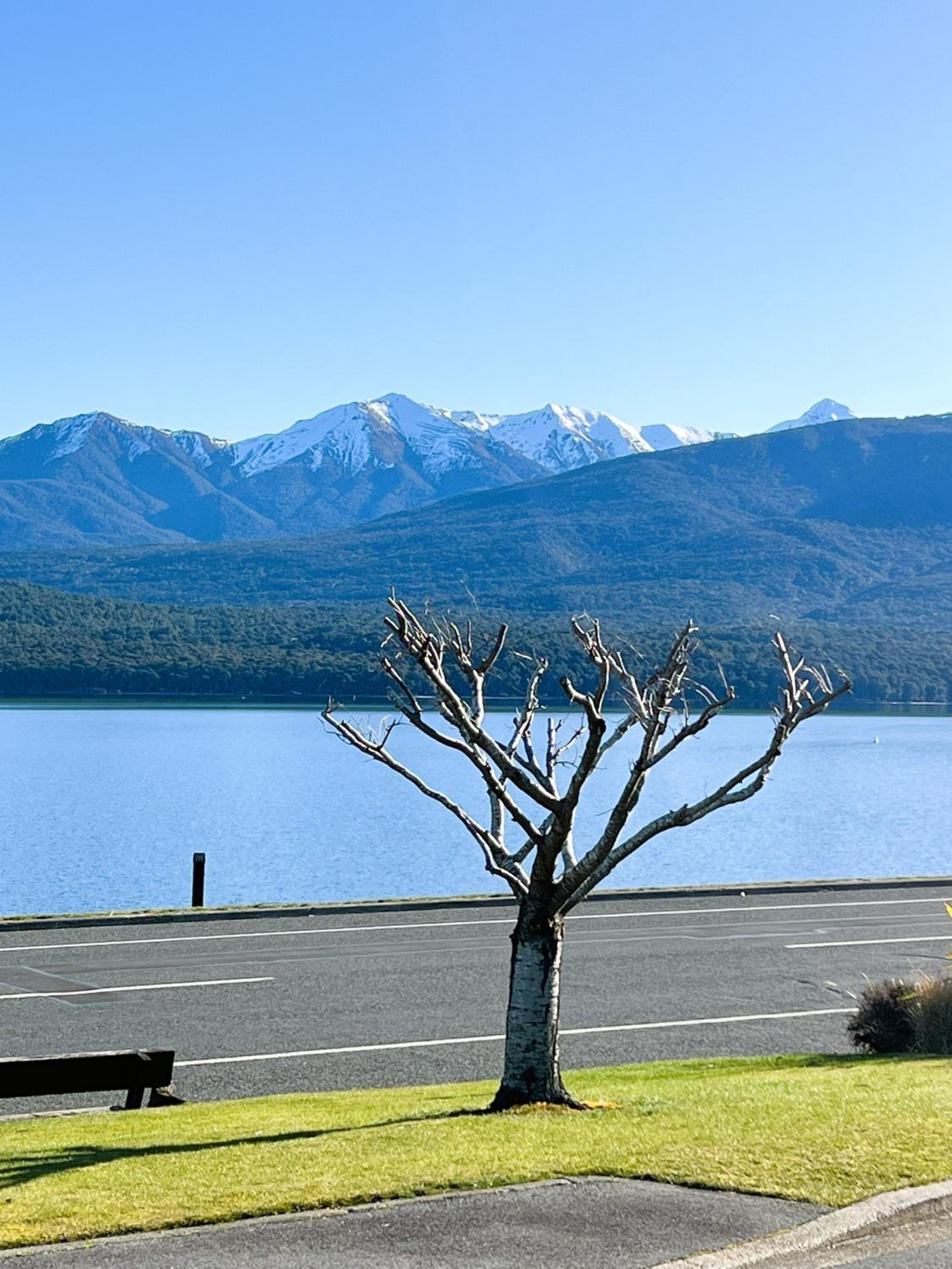 Fiordland Lakeview Motel and Apartments — photo 37
