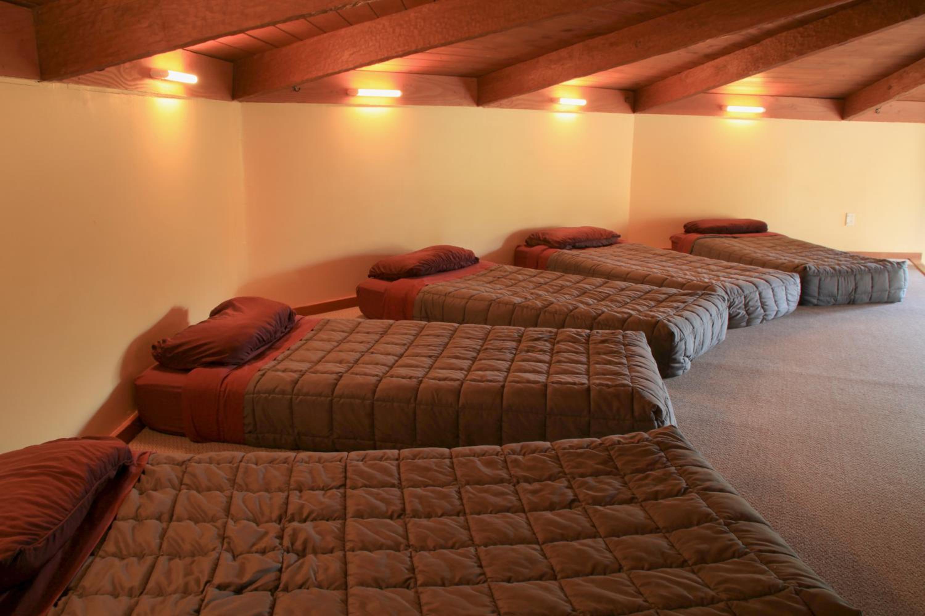 Te Nikau Retreat
