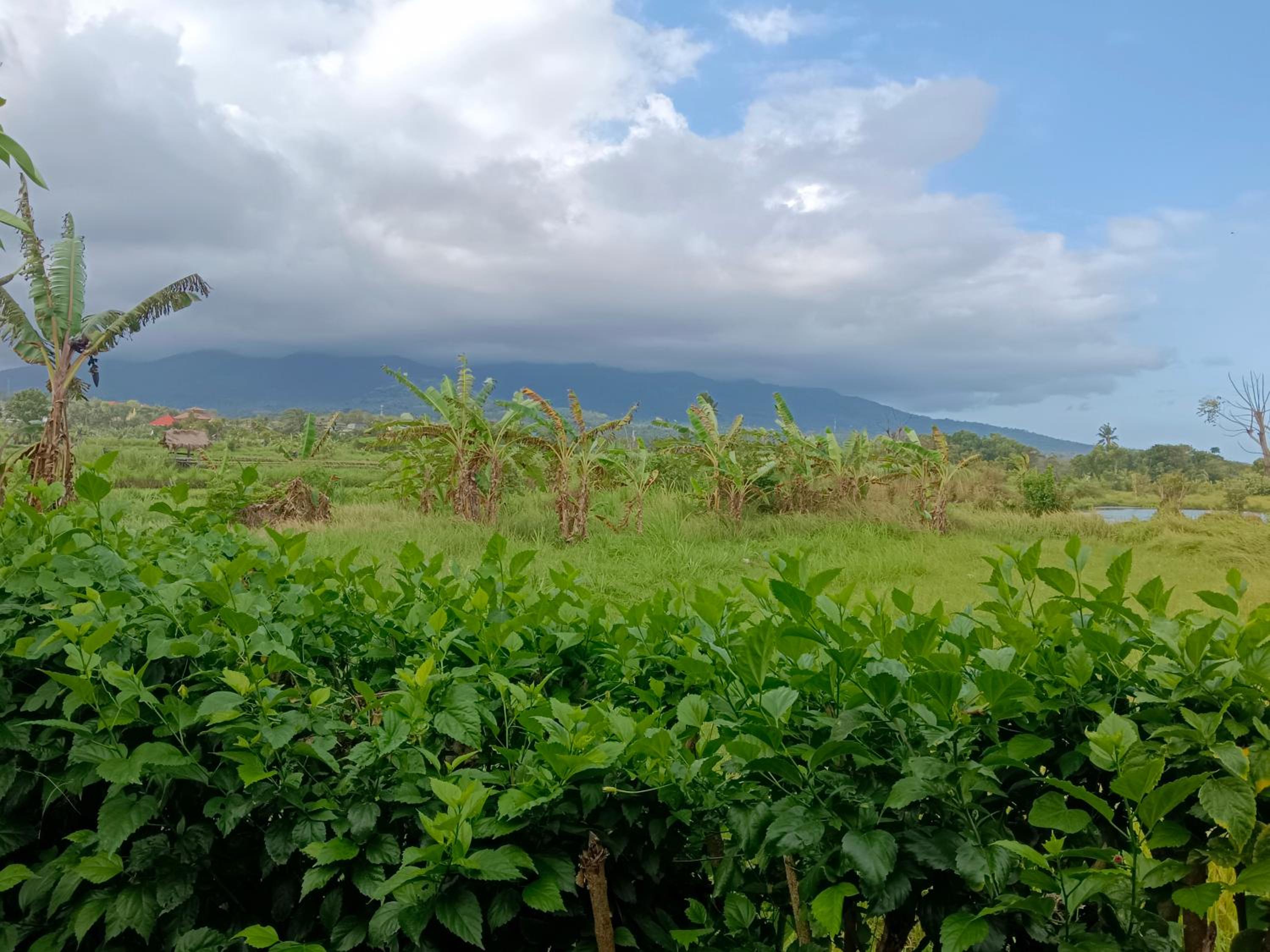 Villa Puspan Jali view 3