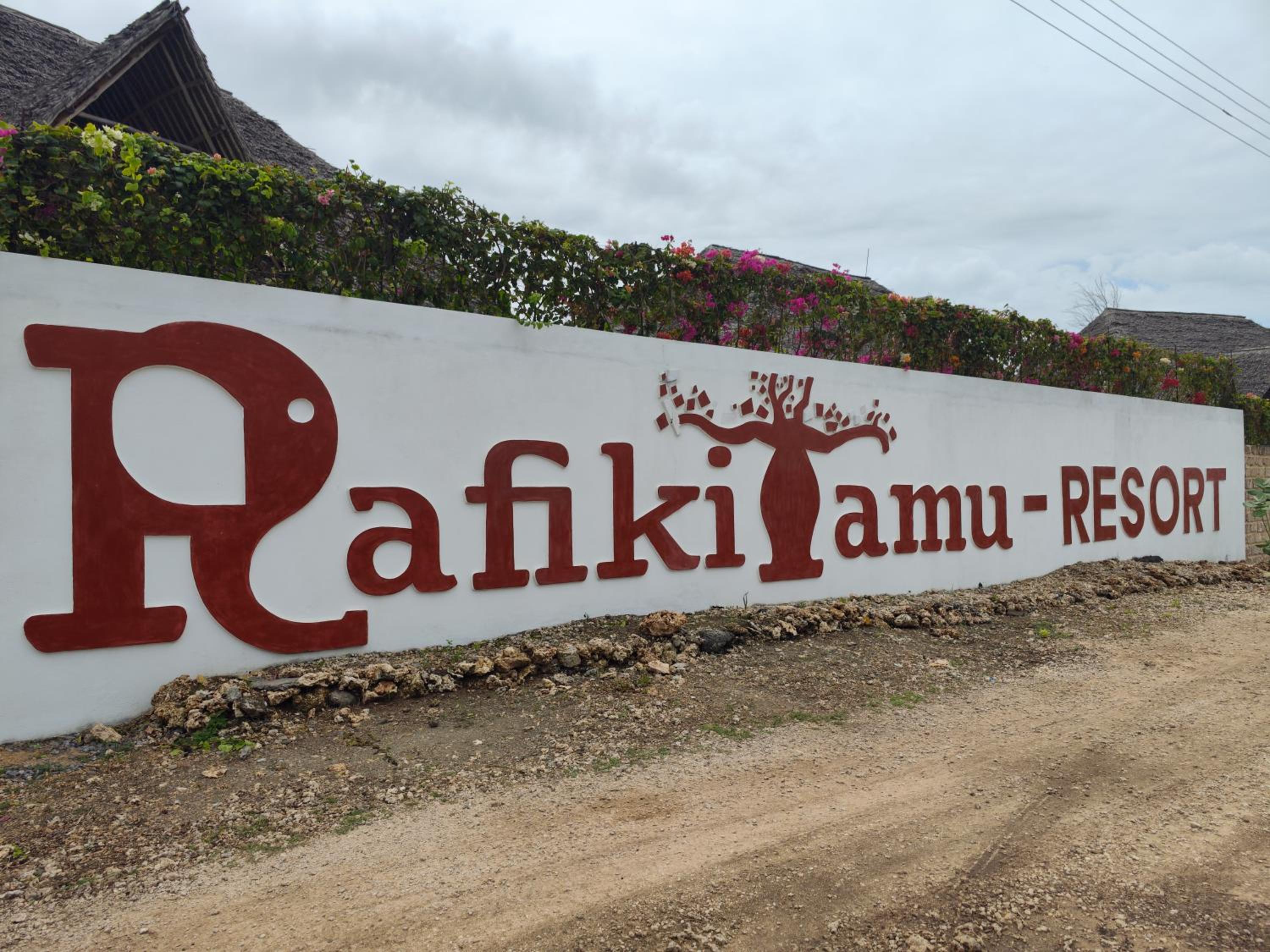 RiccArDella House Rafiki Tamu