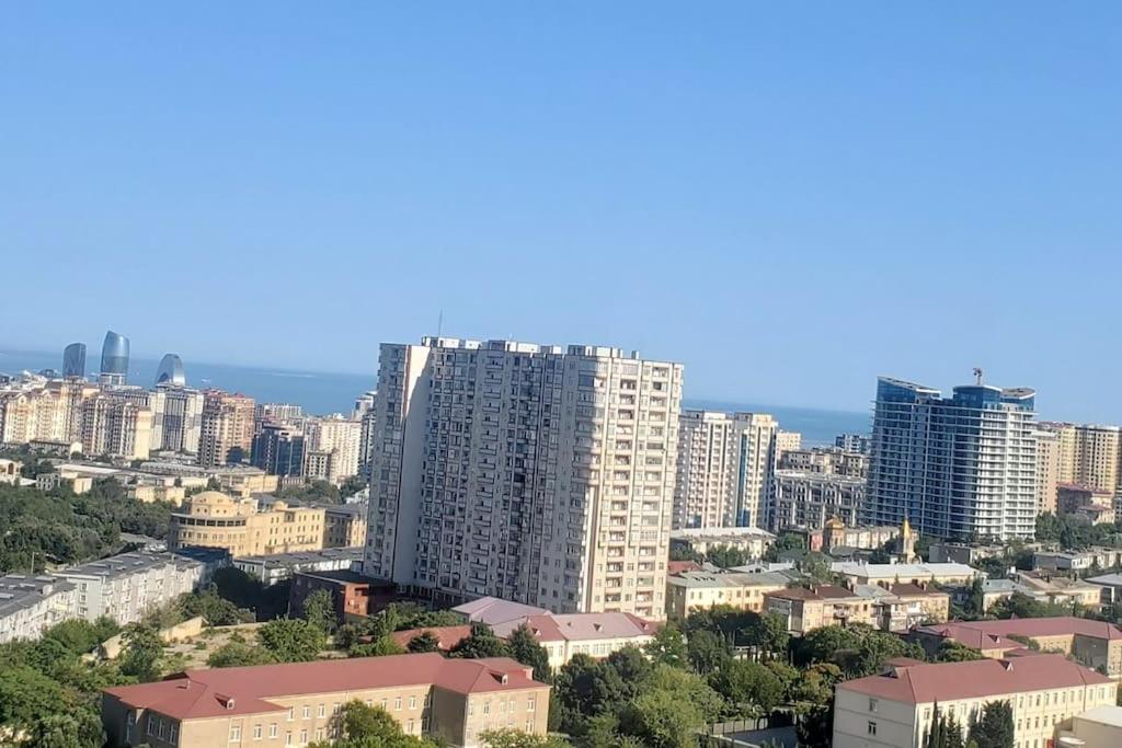 City Panorama