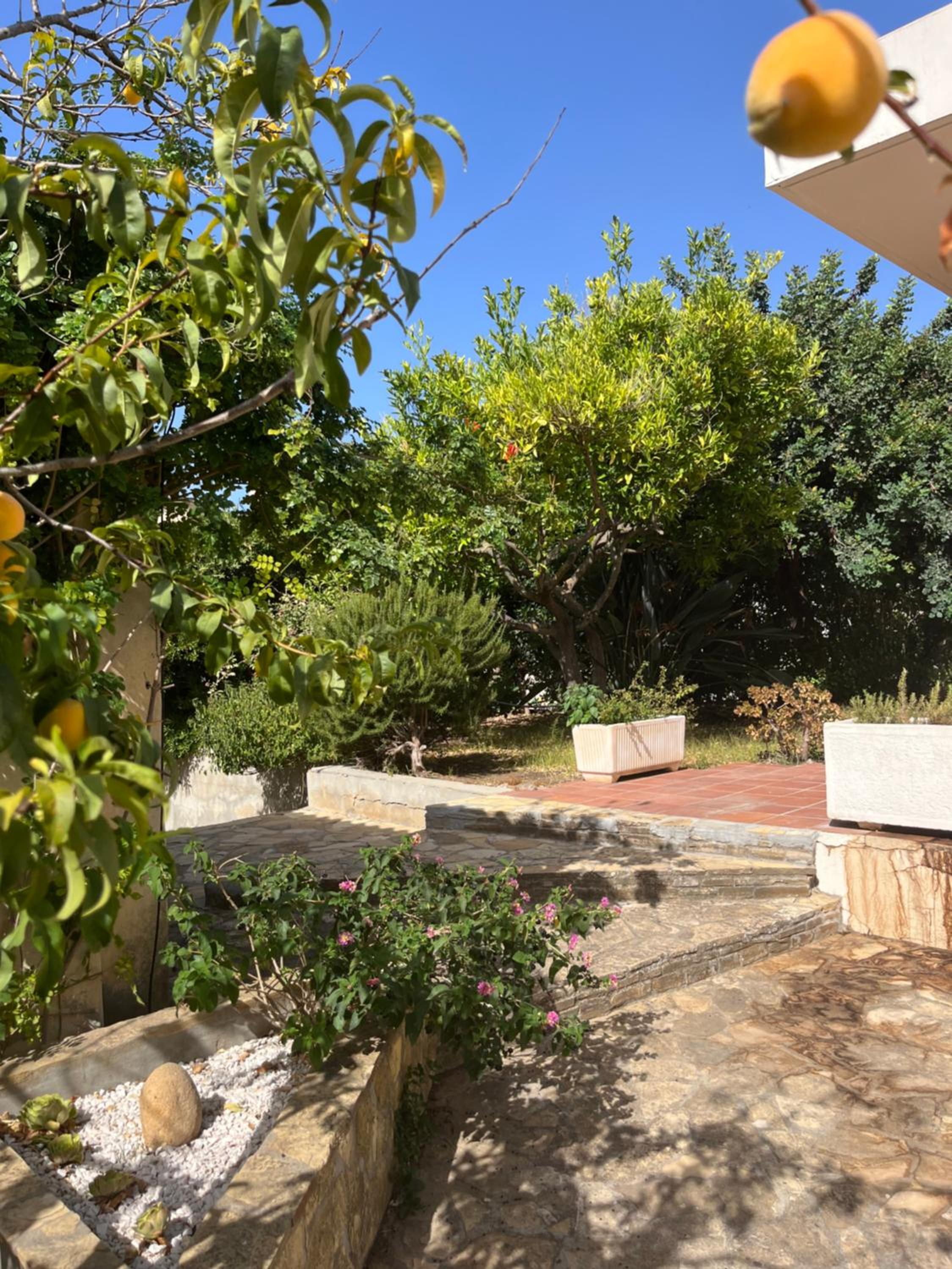 Villetta Regina