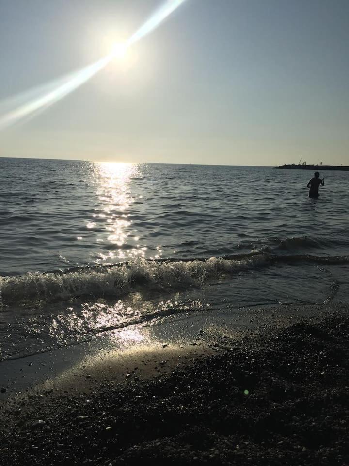 Mare Toscano en Riparbella — other