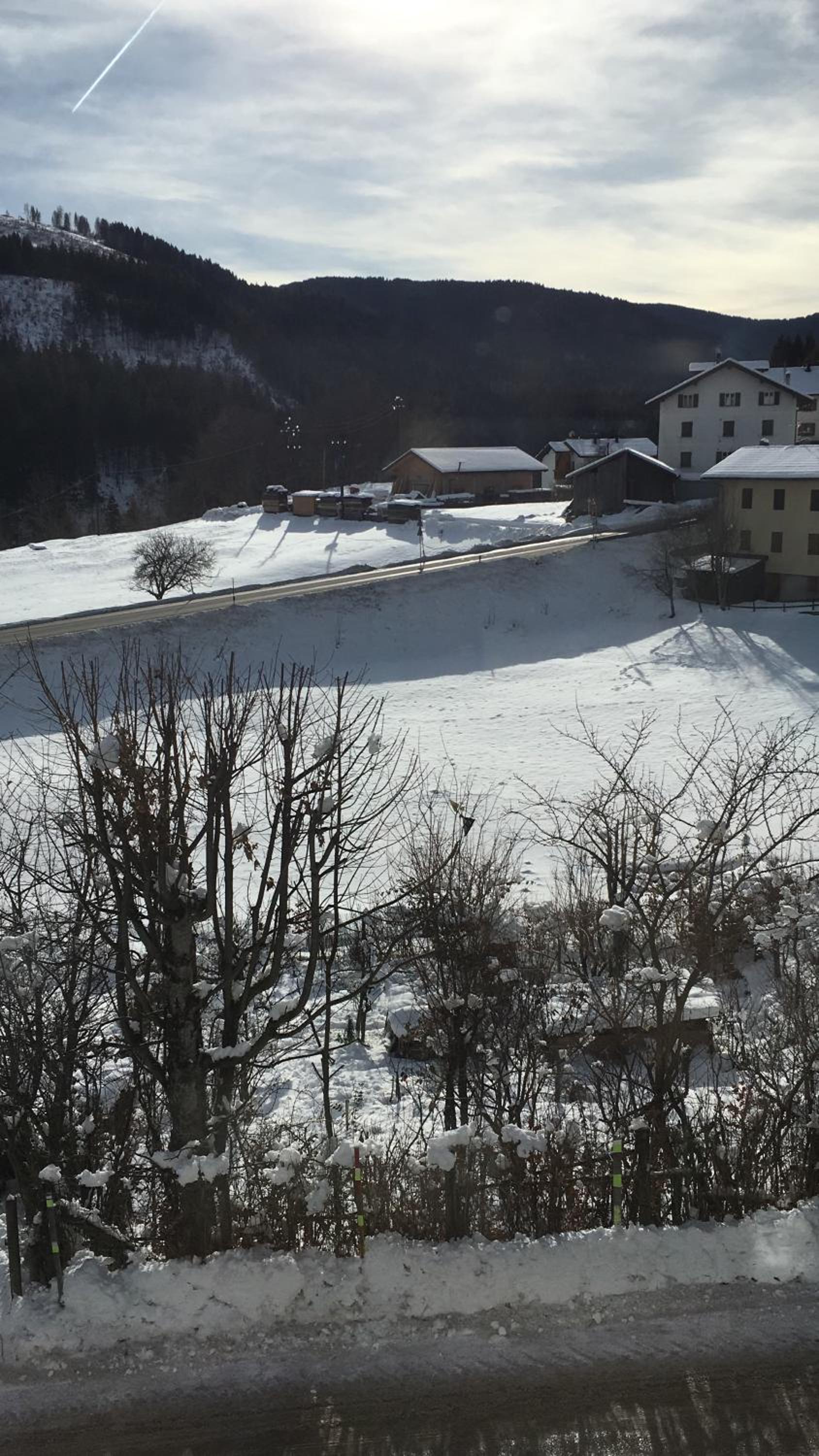 Appartamenti Morini view 4