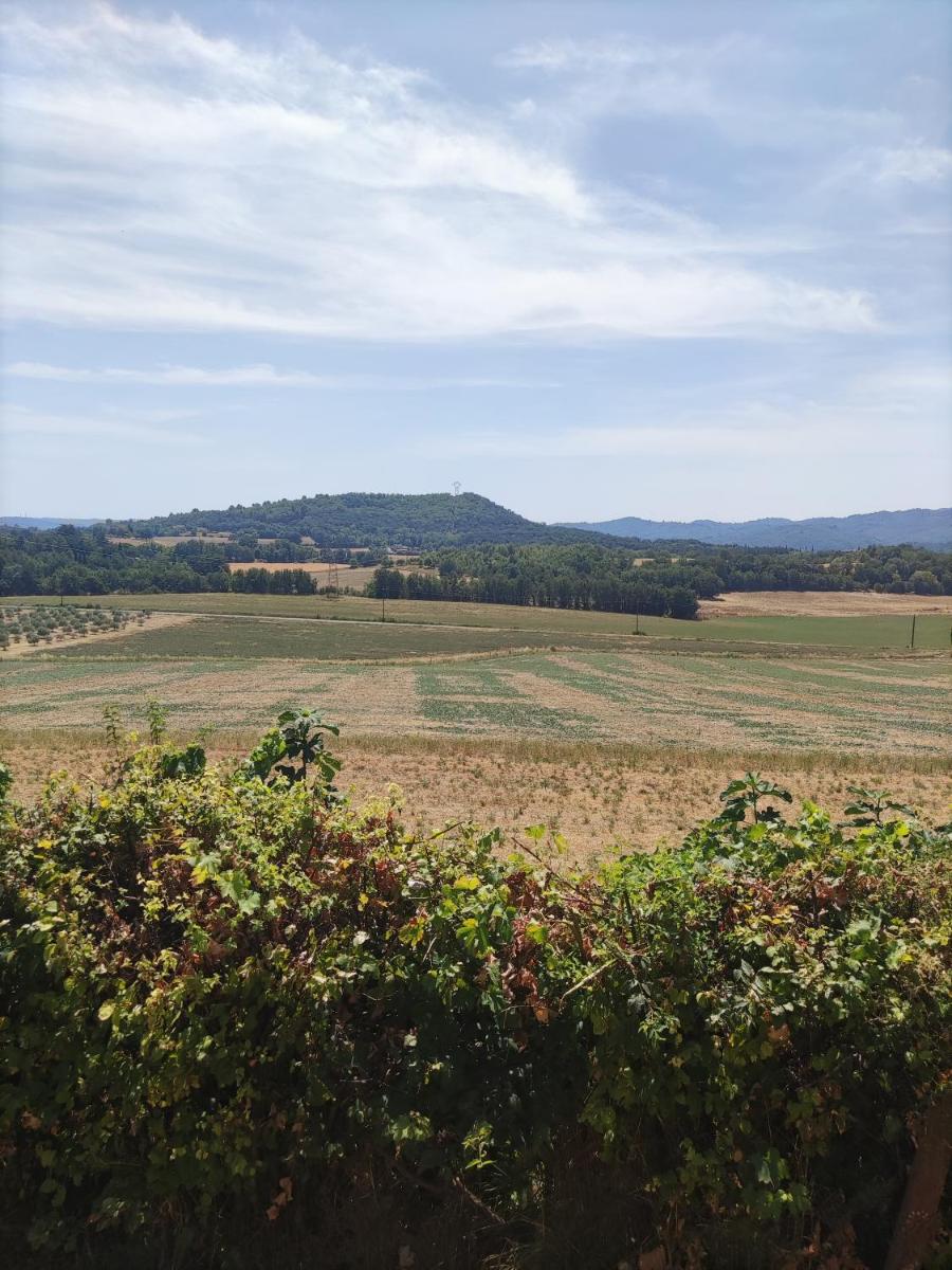 La petite grande view 5