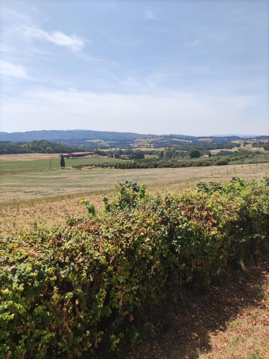 La petite grande view 4