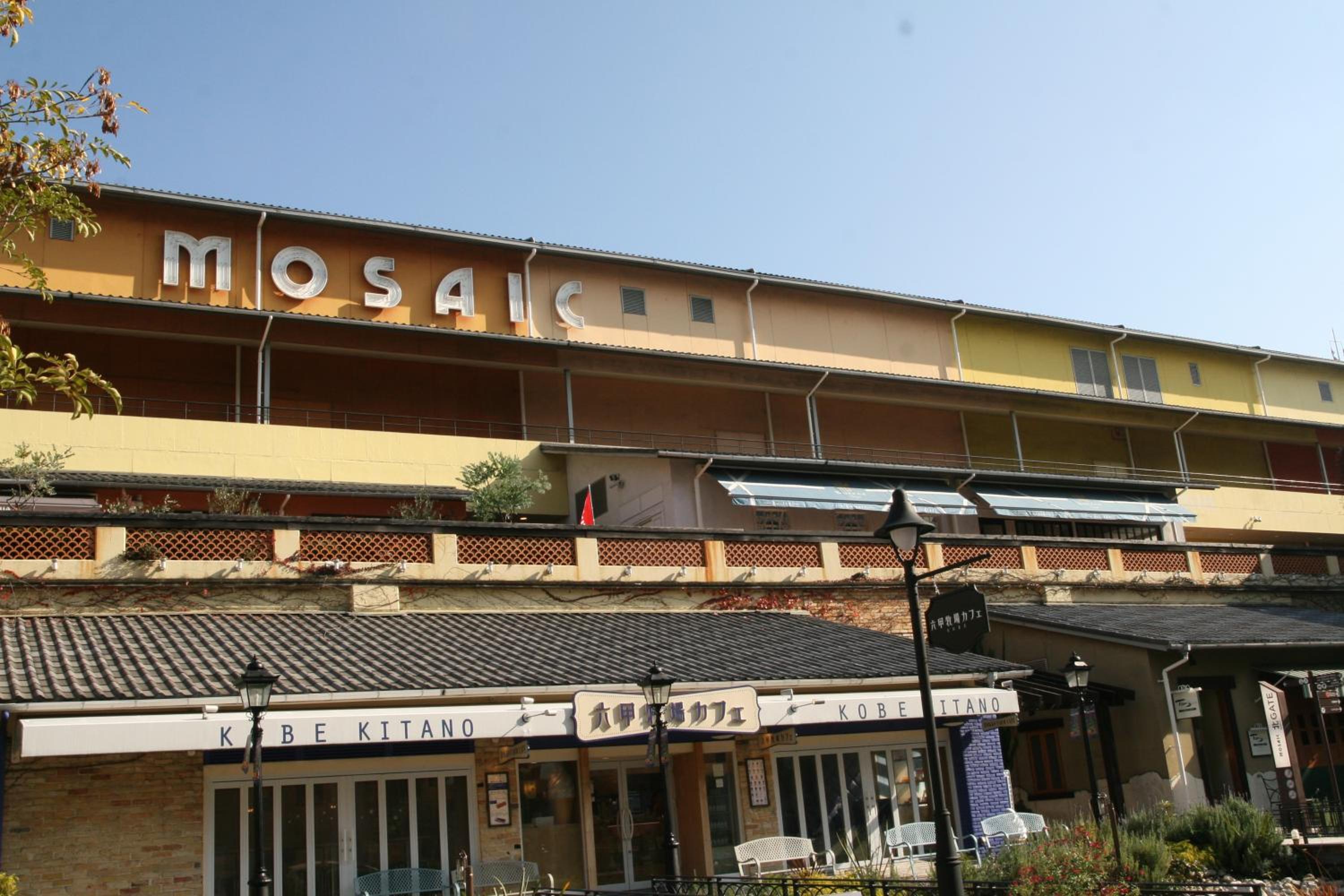 Photo 41