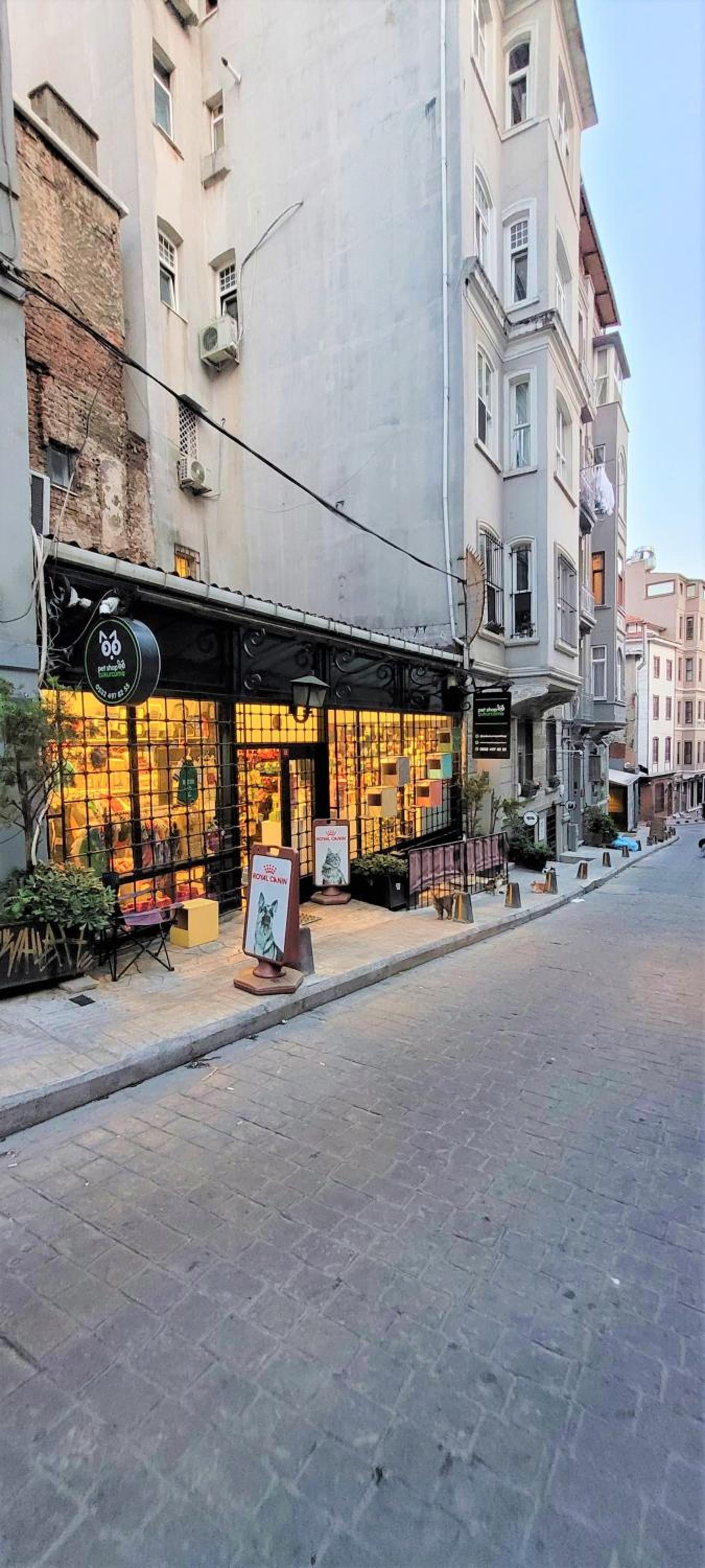 Stylish City Getaway-Explore the Urban Delights