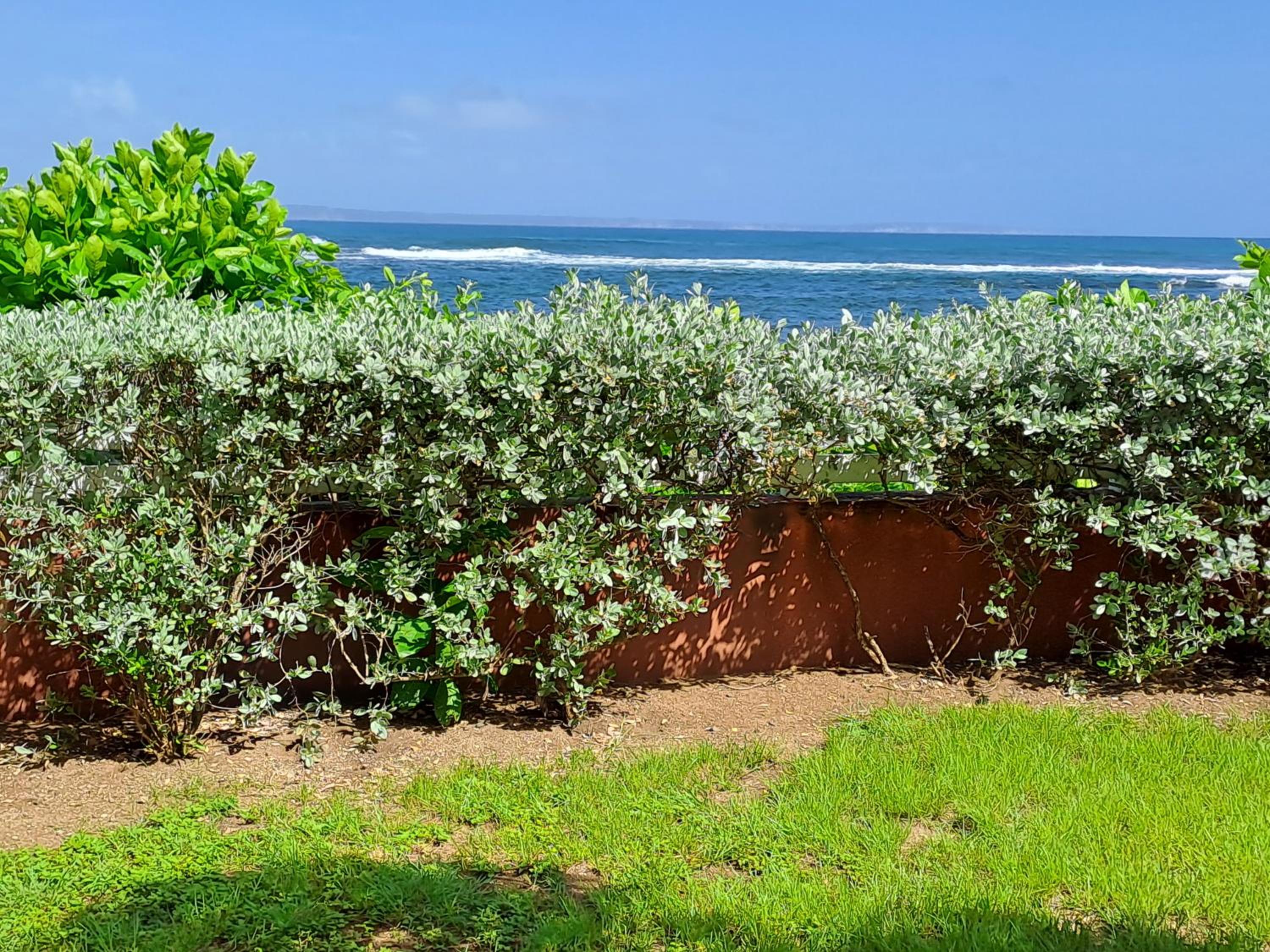 RDC appartement en bord de mer au son des vagues view 5