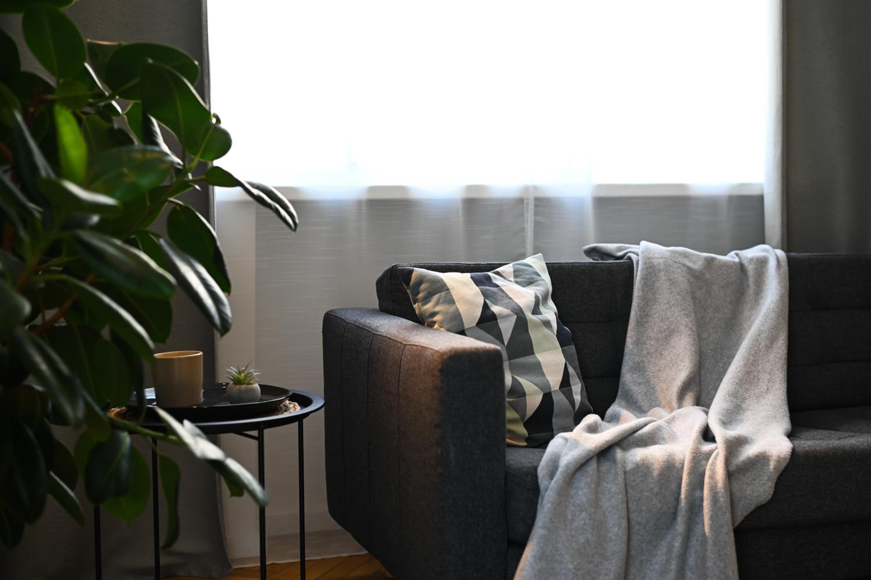 City Center Studio - Comfy & Modern view 3