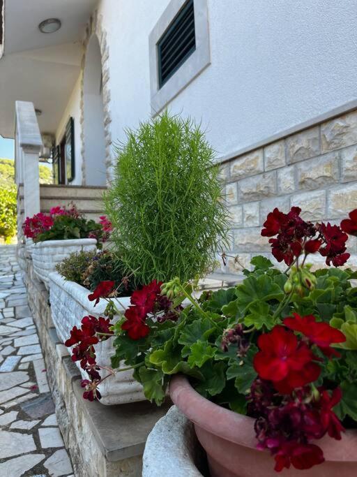Apartman “Snježana”