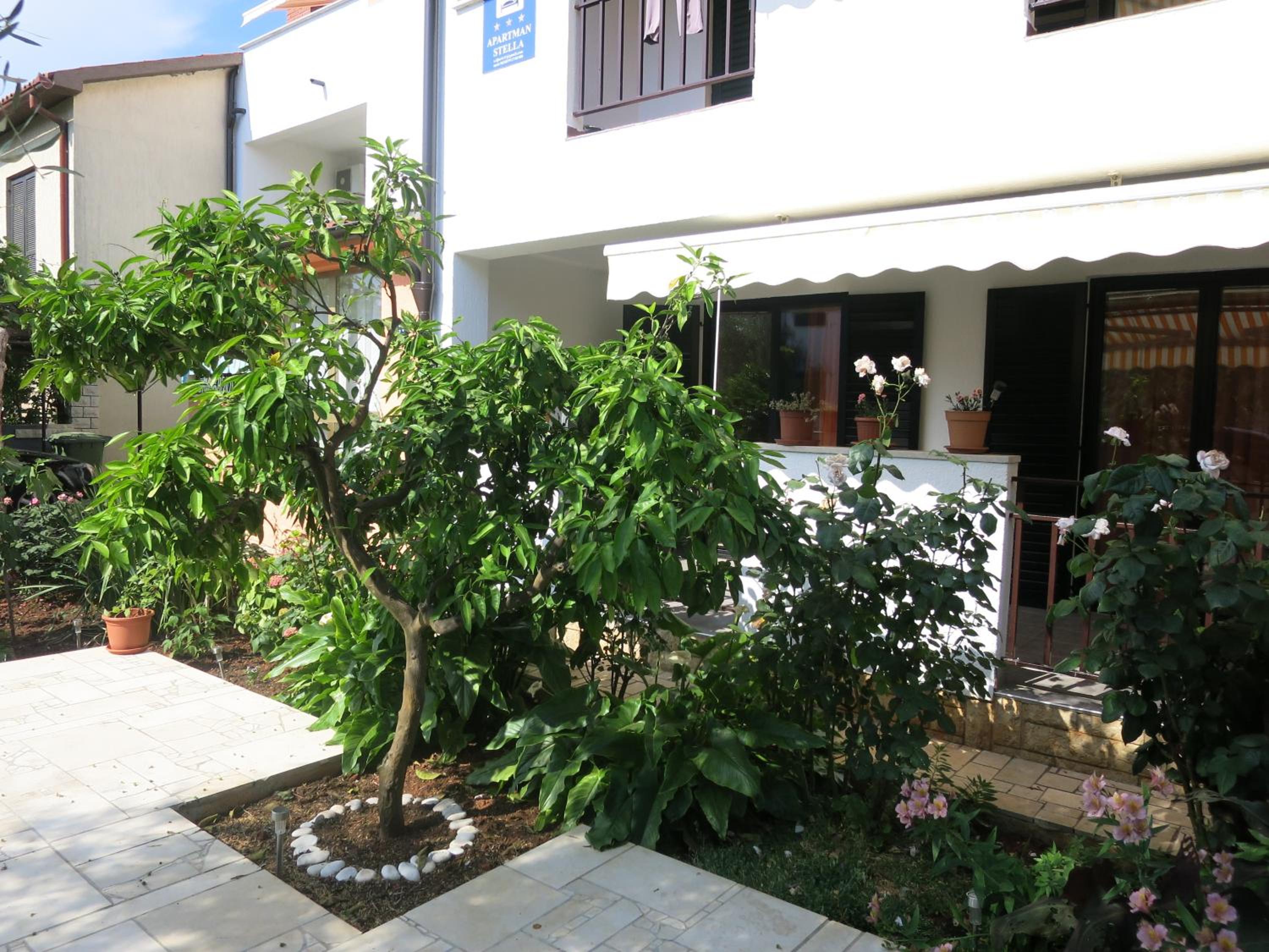 Apartman Stella