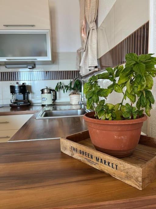 Apartman “Snježana”