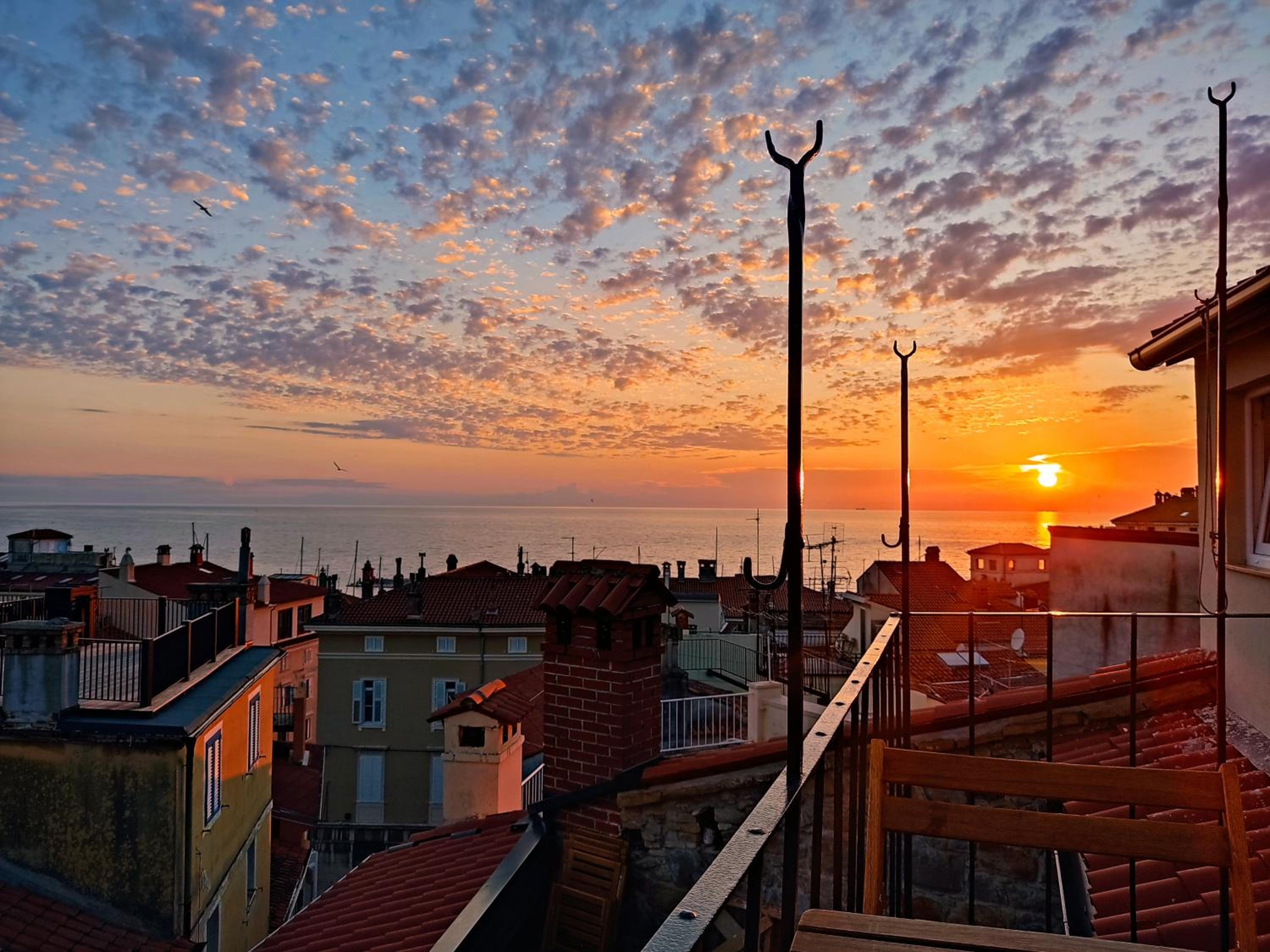 roof