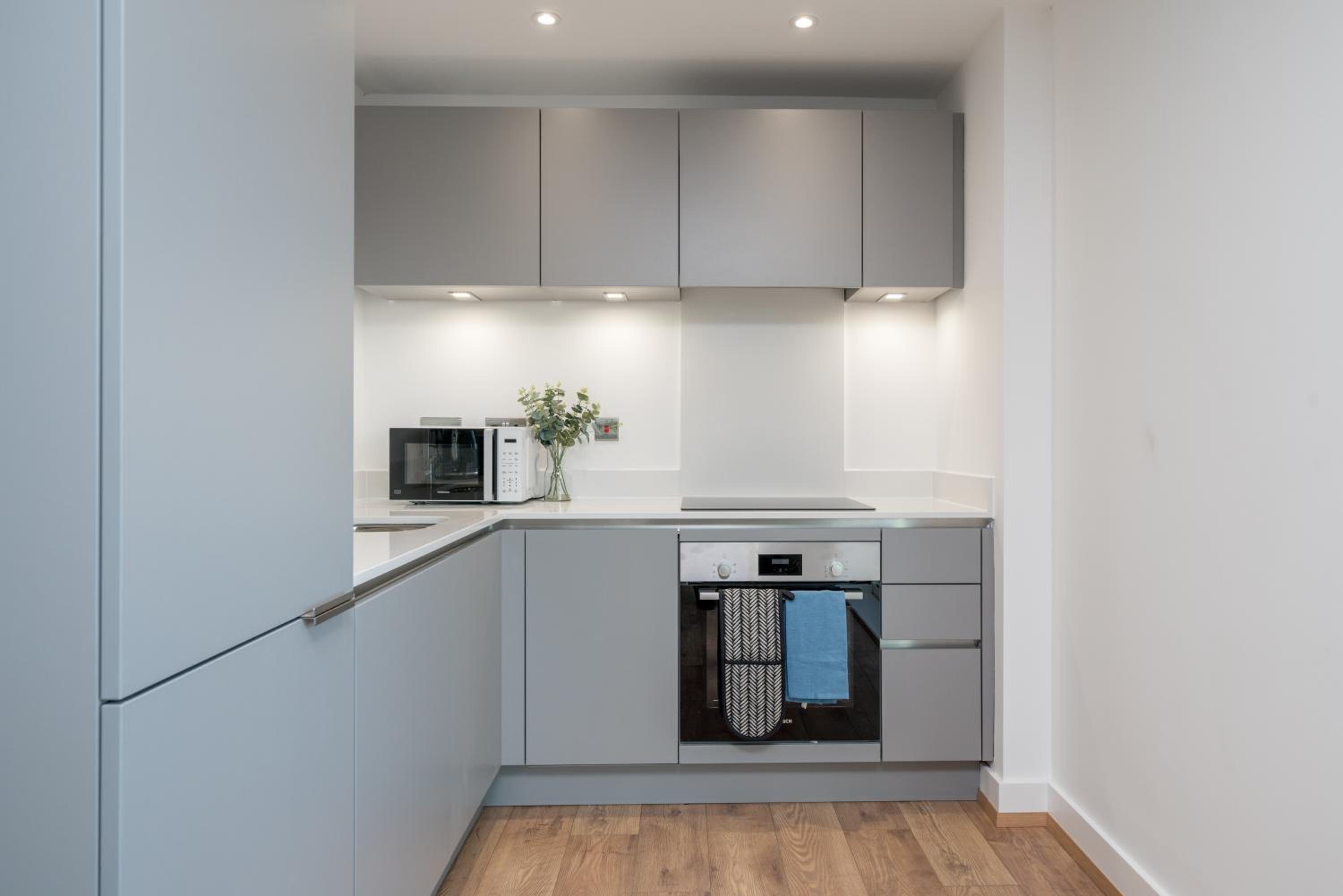 Skyvillion - London River Thames Top Floor Apartments by Woolwich Ferry, Mins to London ExCel, O2 Arena , London City Airport with Parking