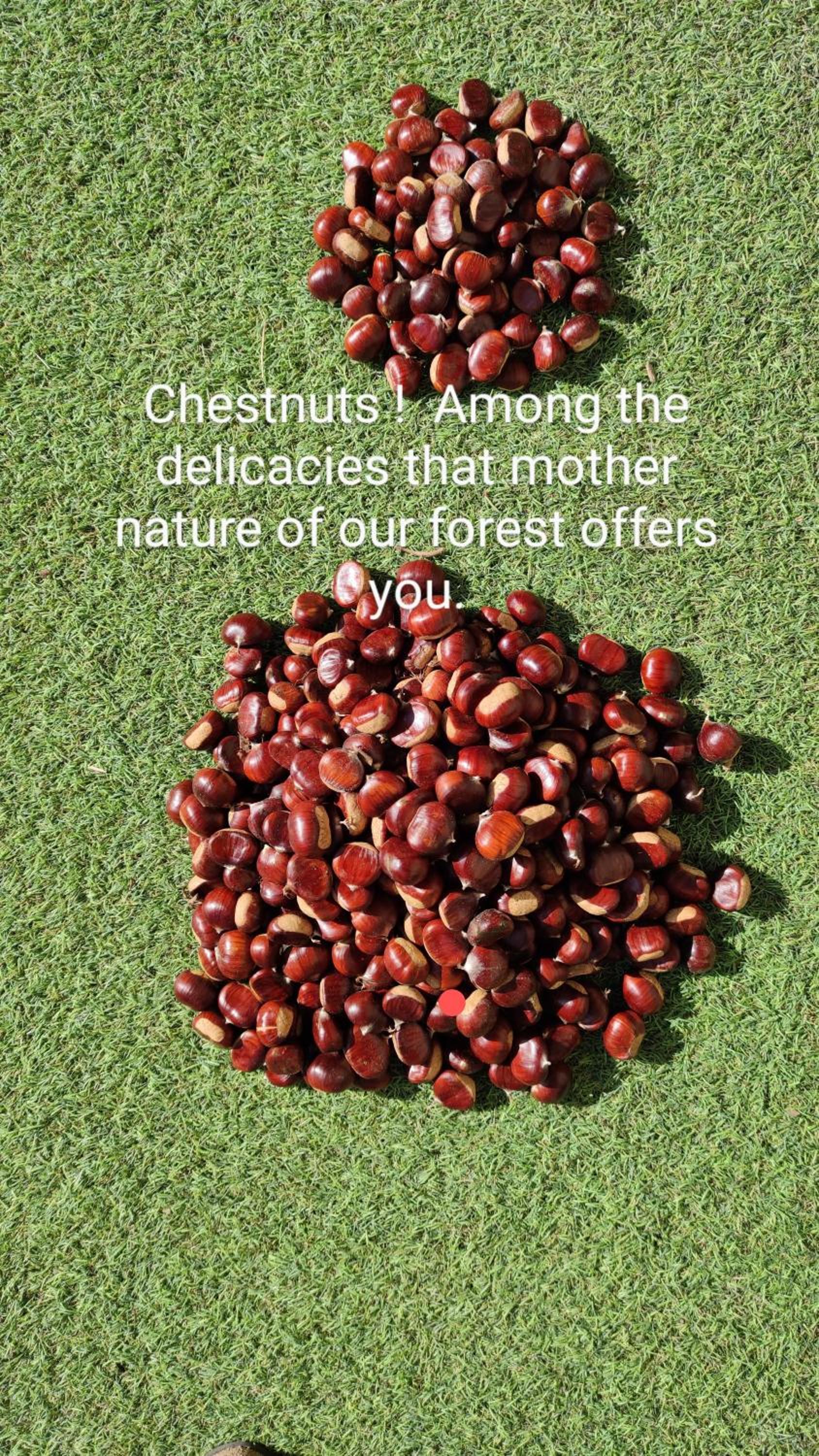 Photo 63