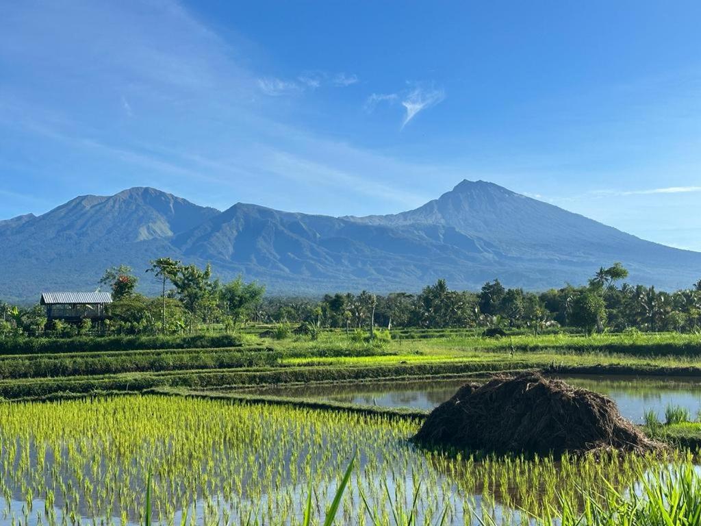 New Rinjani Homestay