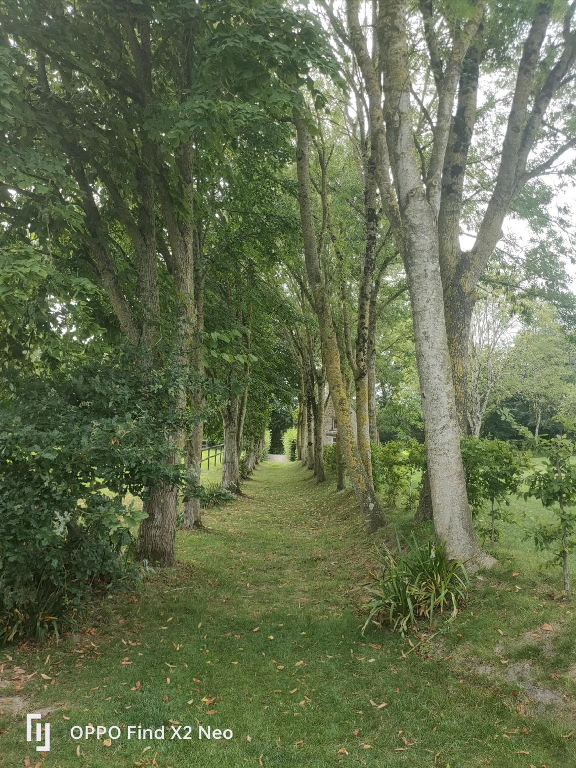 Domaine du Manoir de Vains view 4