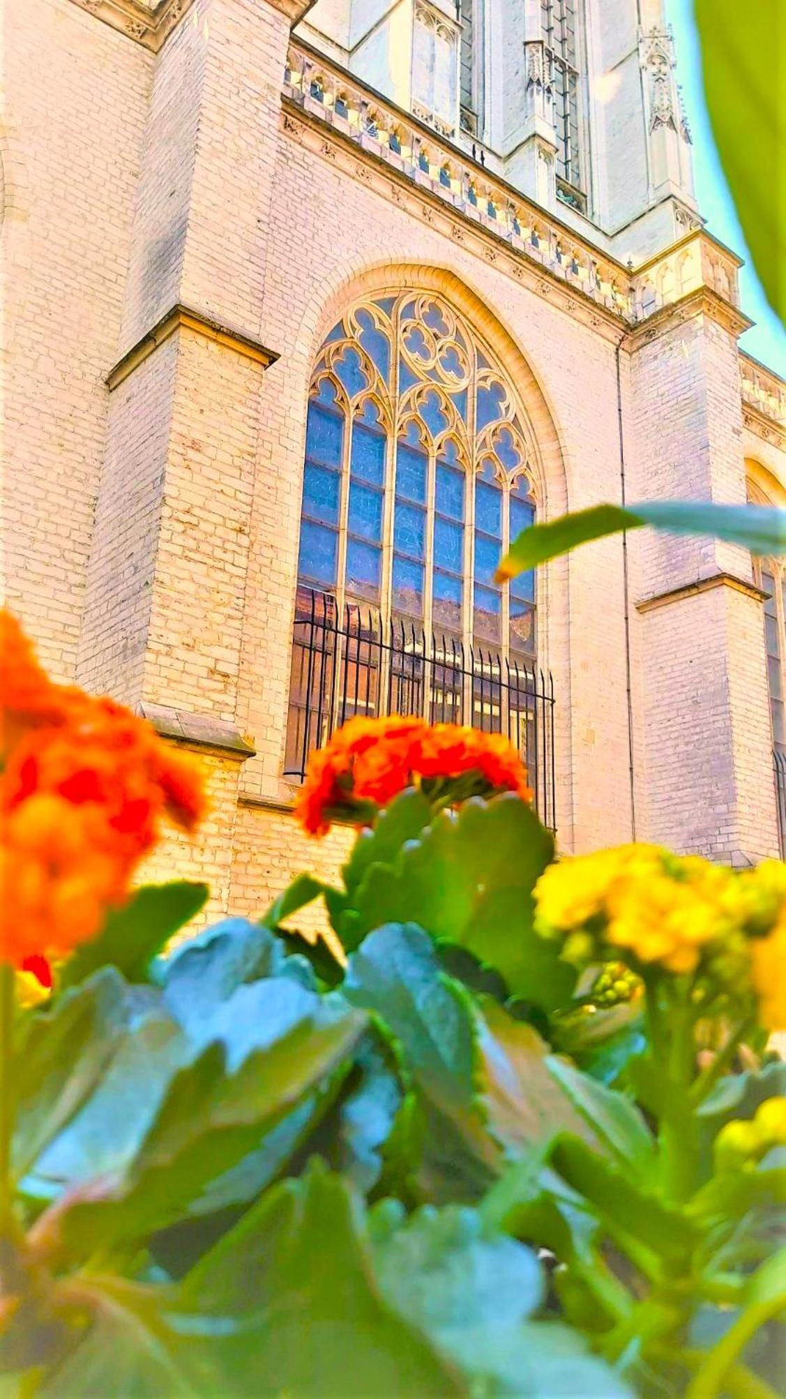 Hotel Mezonvin - Image 1