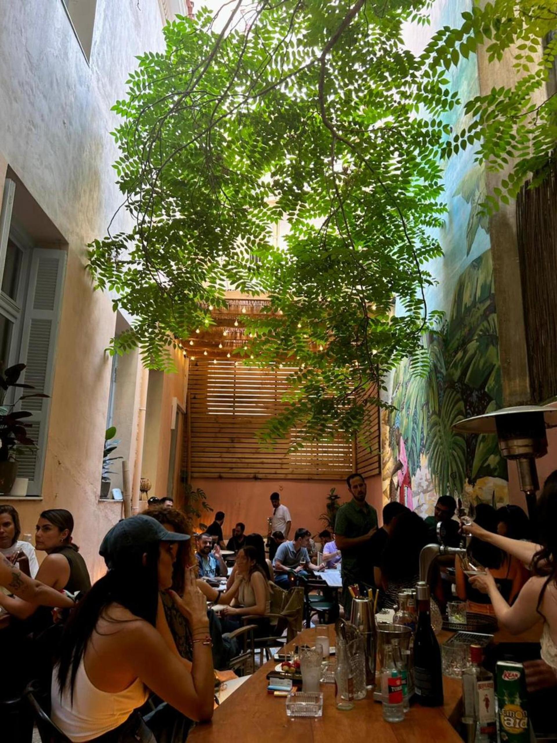 Baloo Hostel