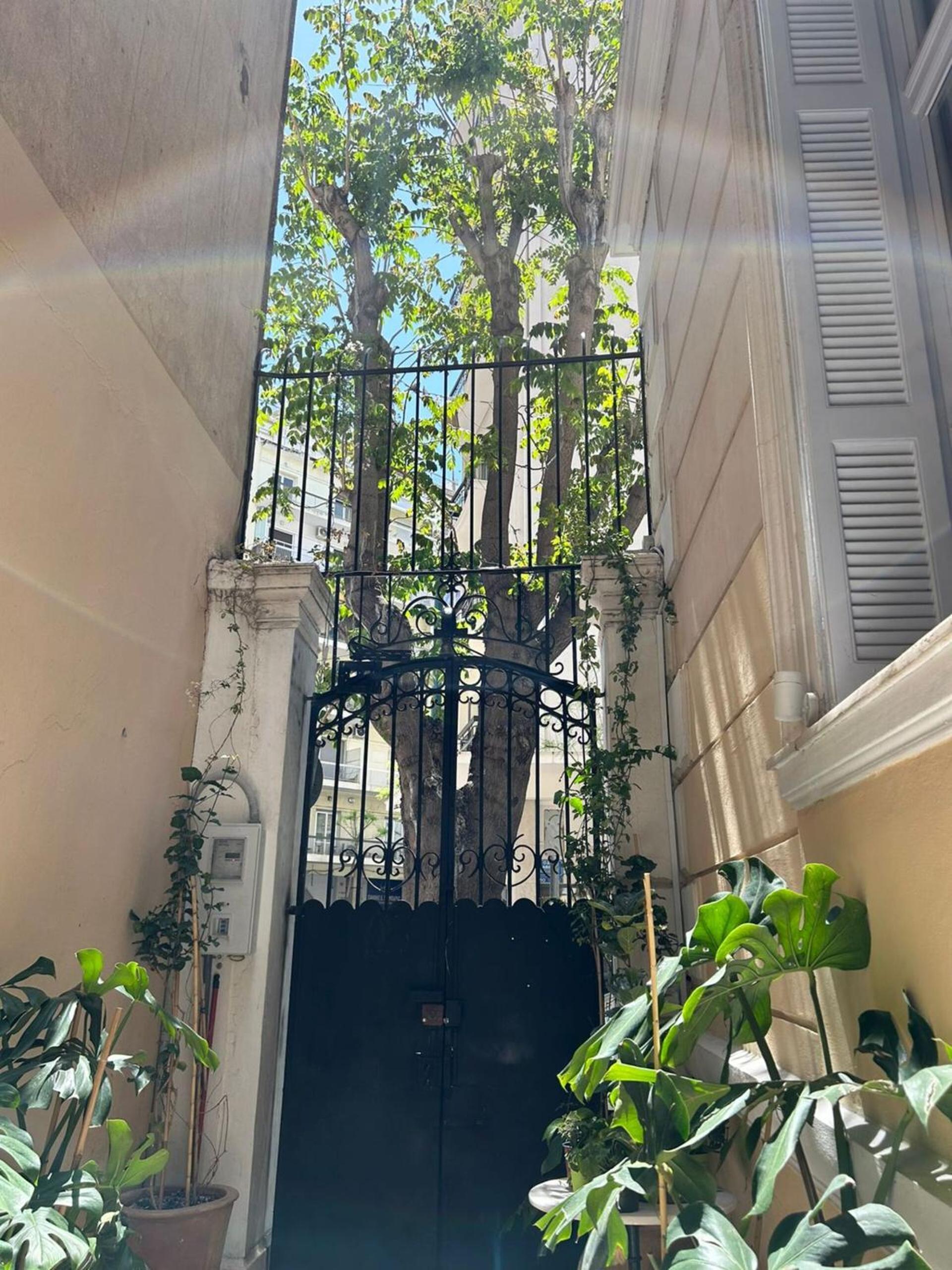 Baloo Hostel