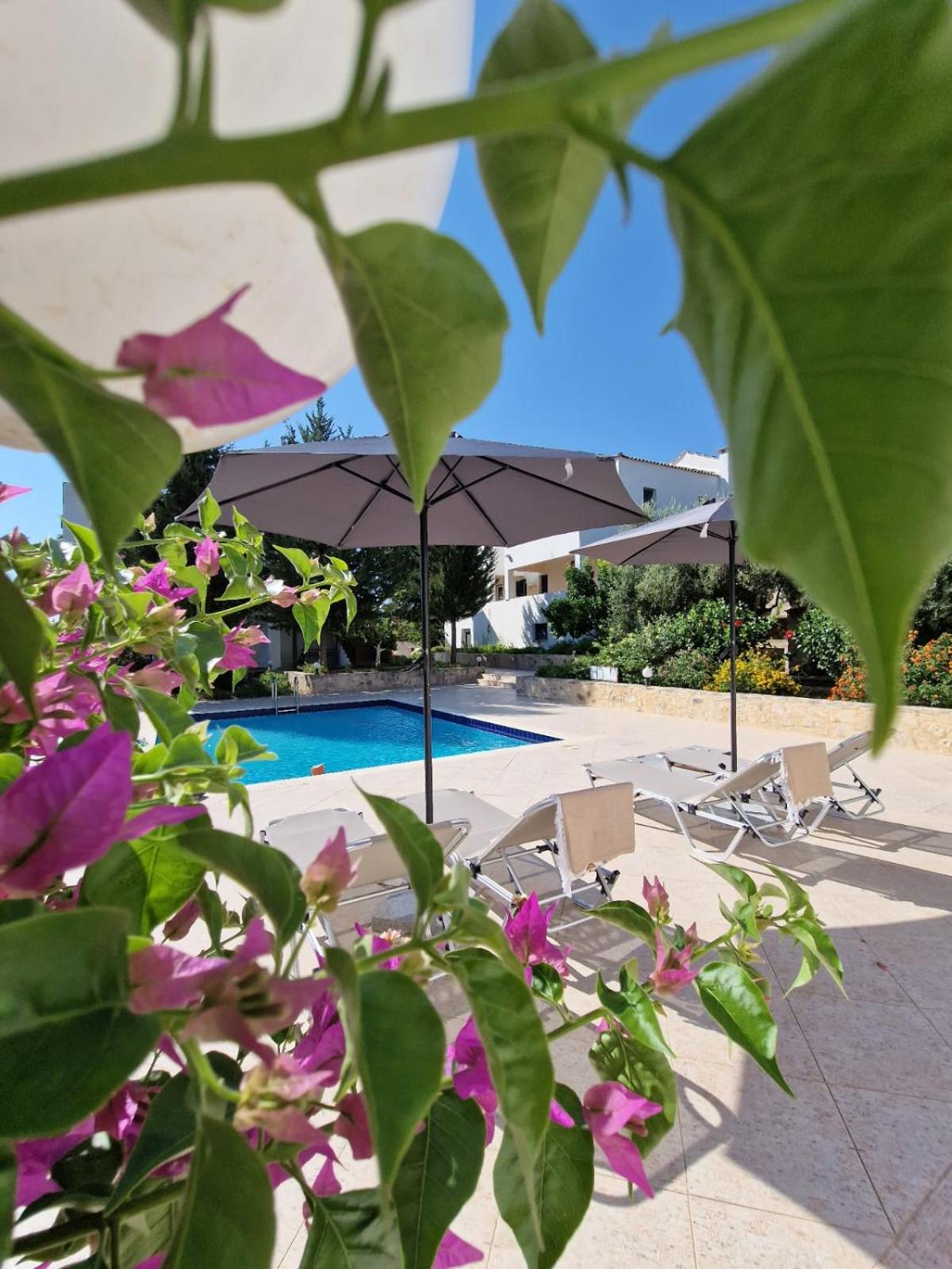 Villa Penelope Luxury Retreat with Pool & Timeless Charm