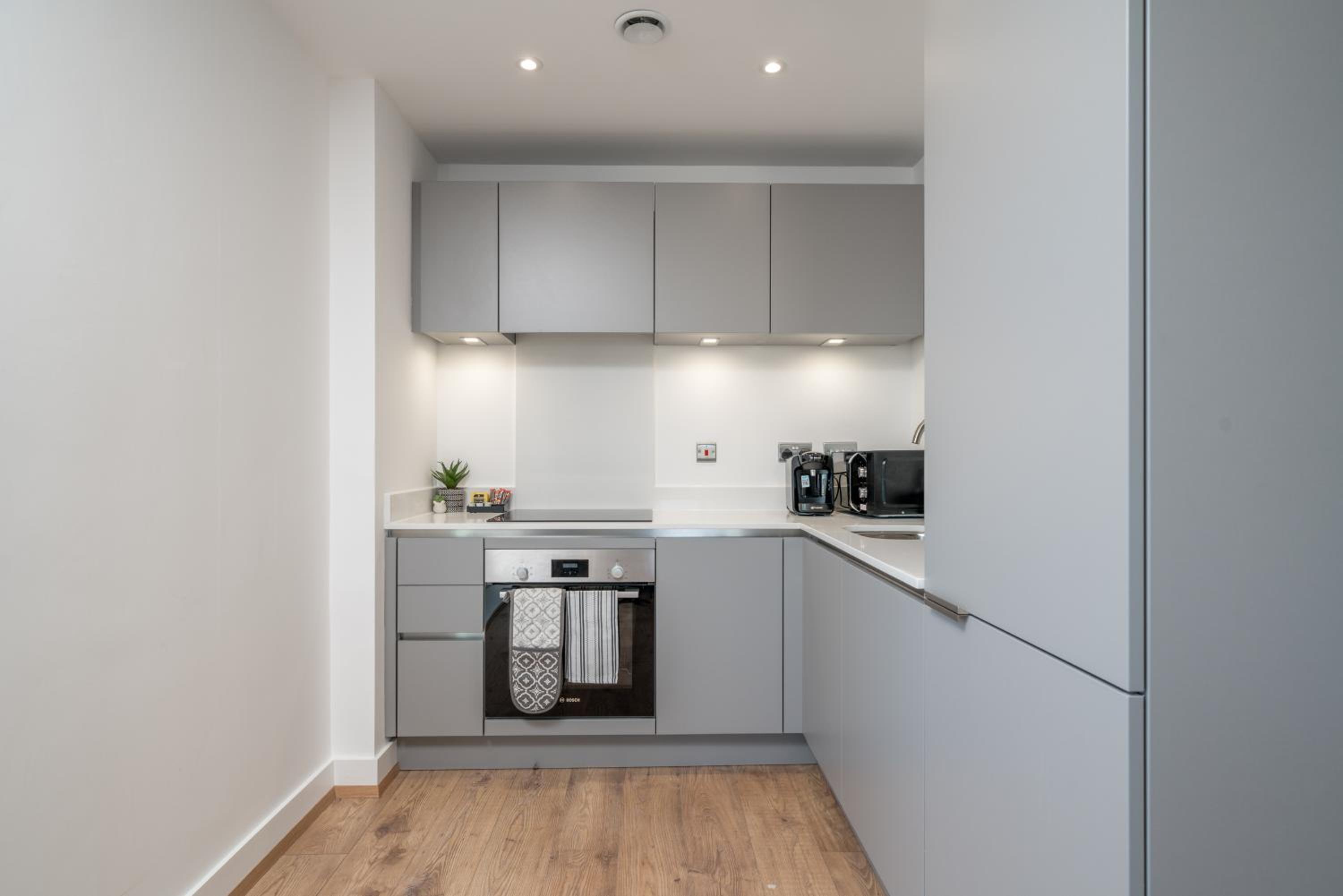 Skyvillion - London River Thames Top Floor Apartments by Woolwich Ferry, Mins to London ExCel, O2 Arena , London City Airport with Parking