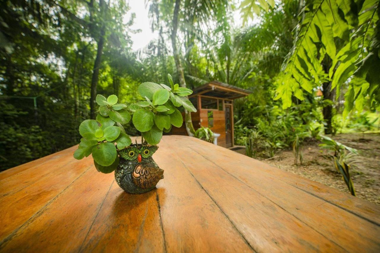 ROSA'S HOUSE, photo 14
