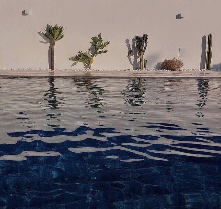 Zahra Superior Suite with private pool photo 4