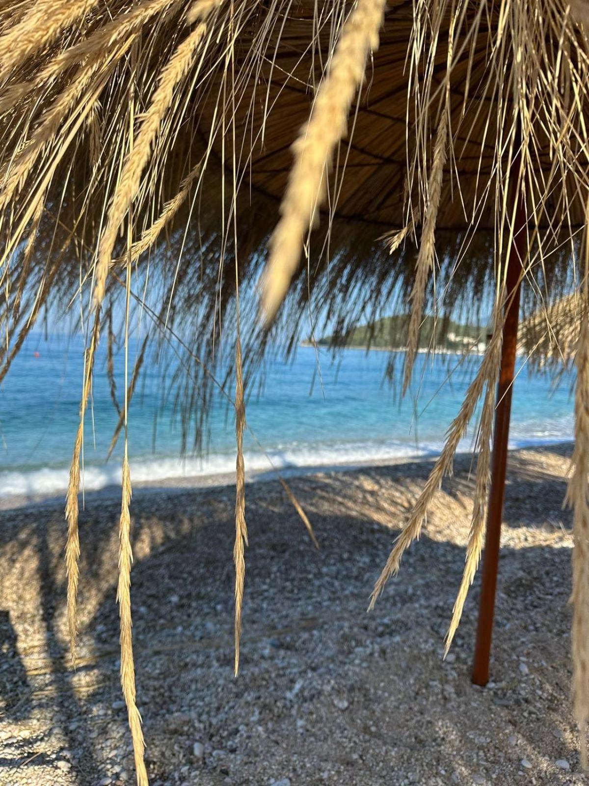 3A Apartment photo 5