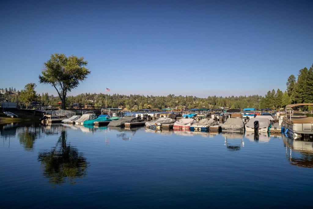 Cozy Cabin On The Cove - Lakefront with Private Dock