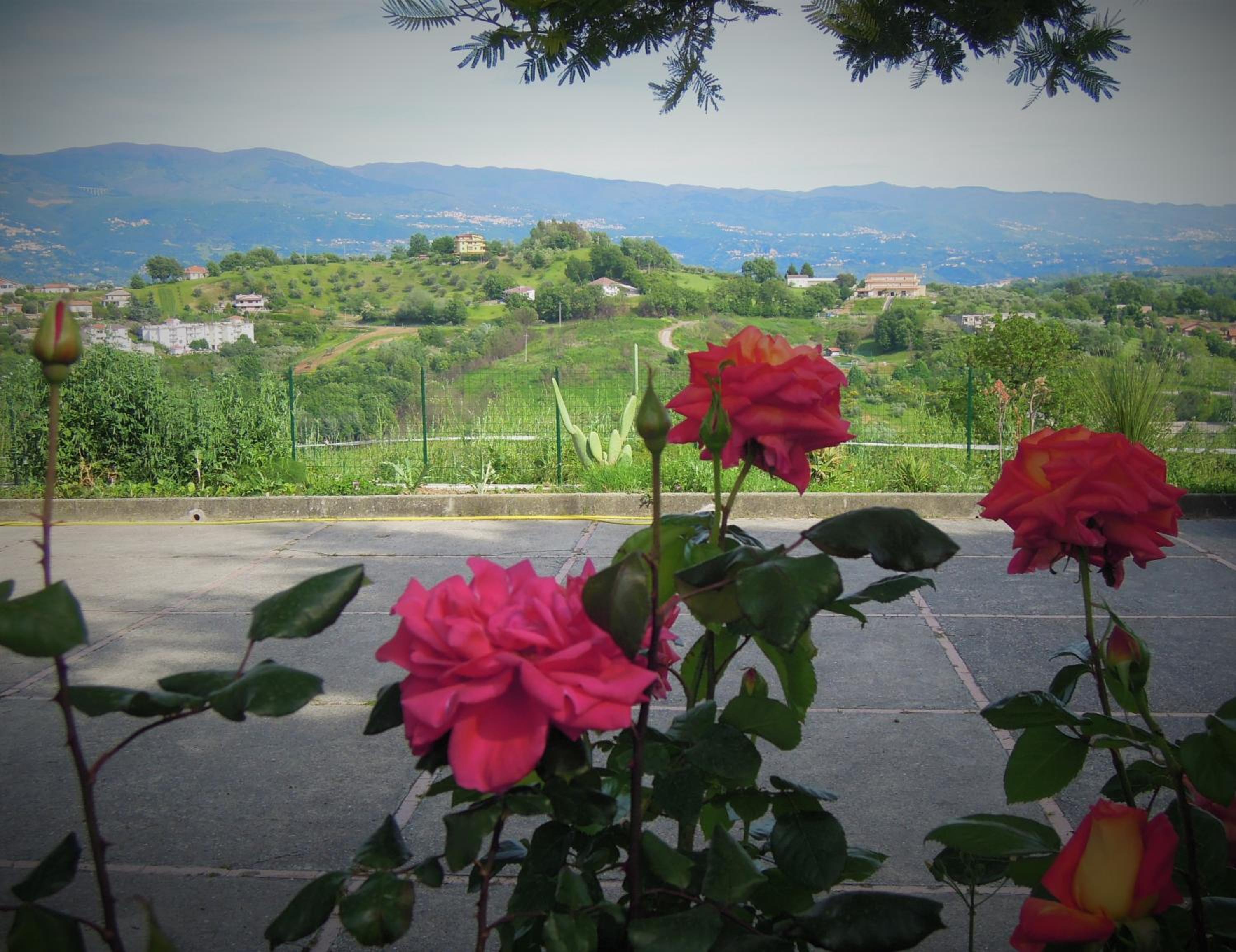 Photo 46