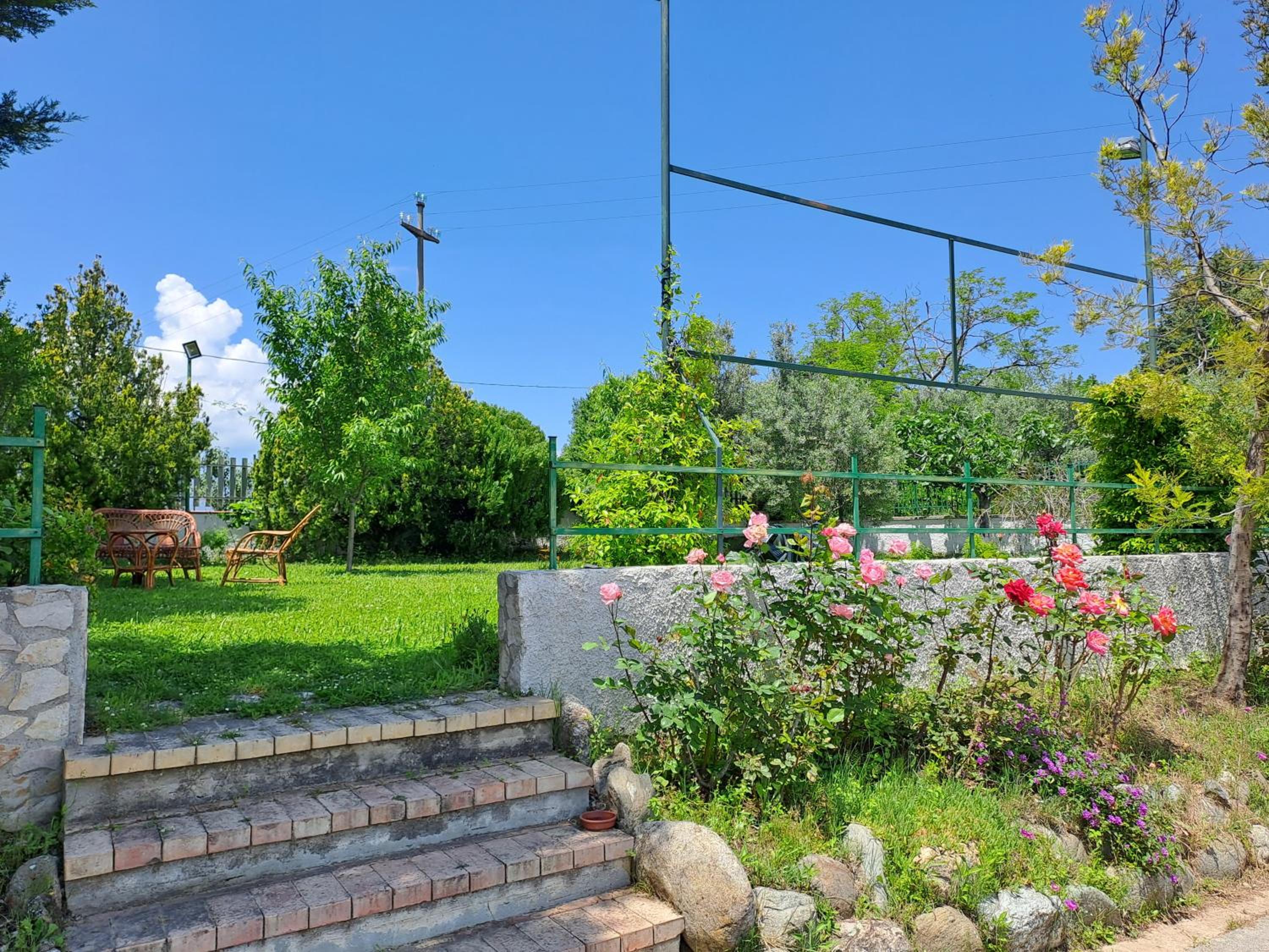 Photo 48