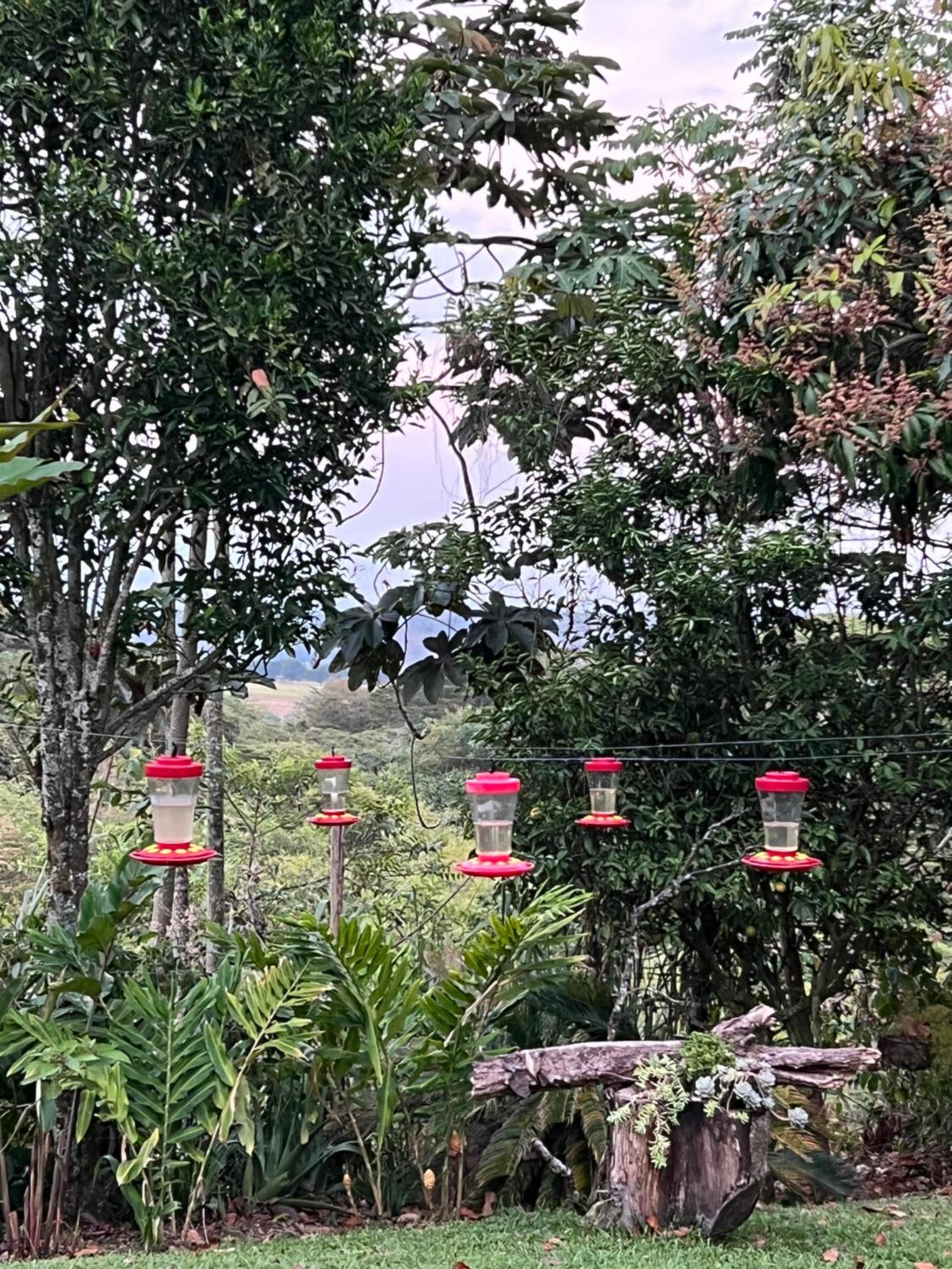 Casa Vieja Mountain Lodge