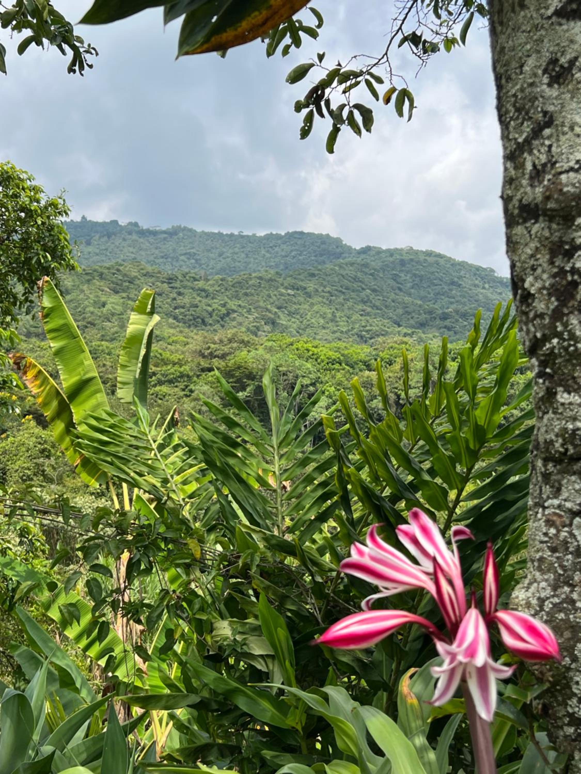 Casa Vieja Mountain Lodge